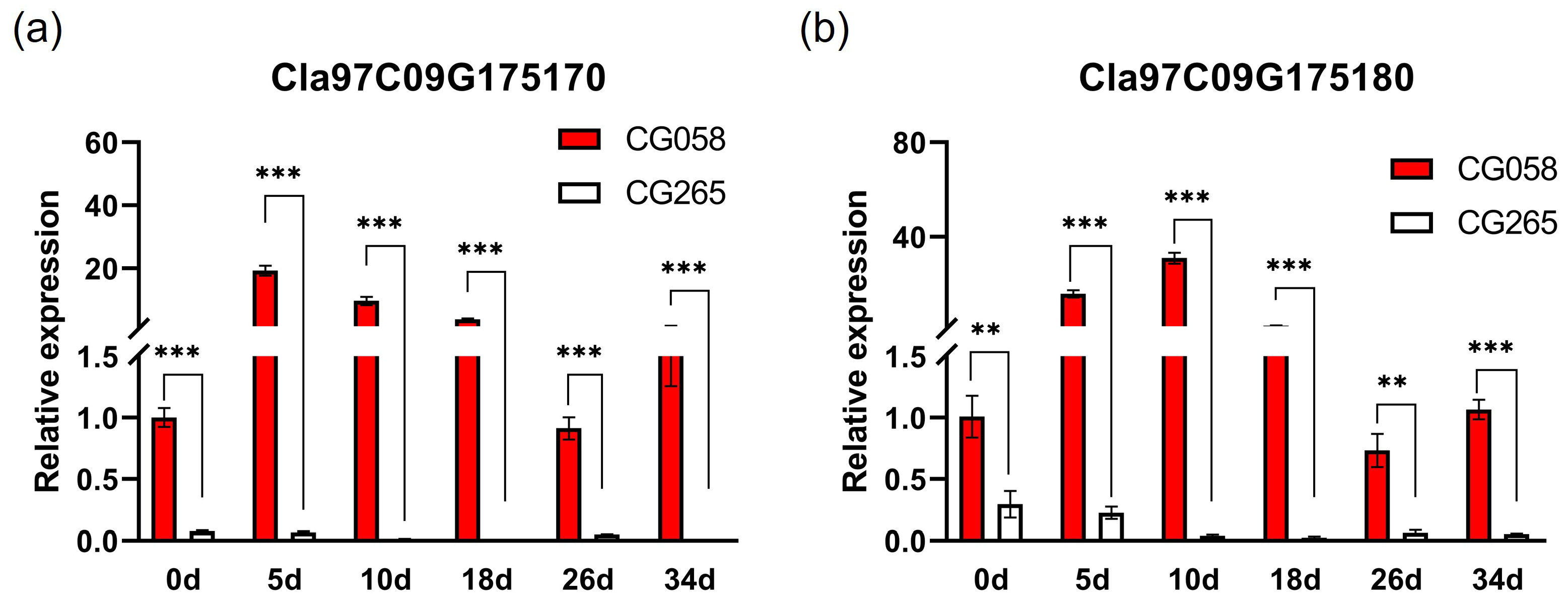 Plants 14 00113 g004