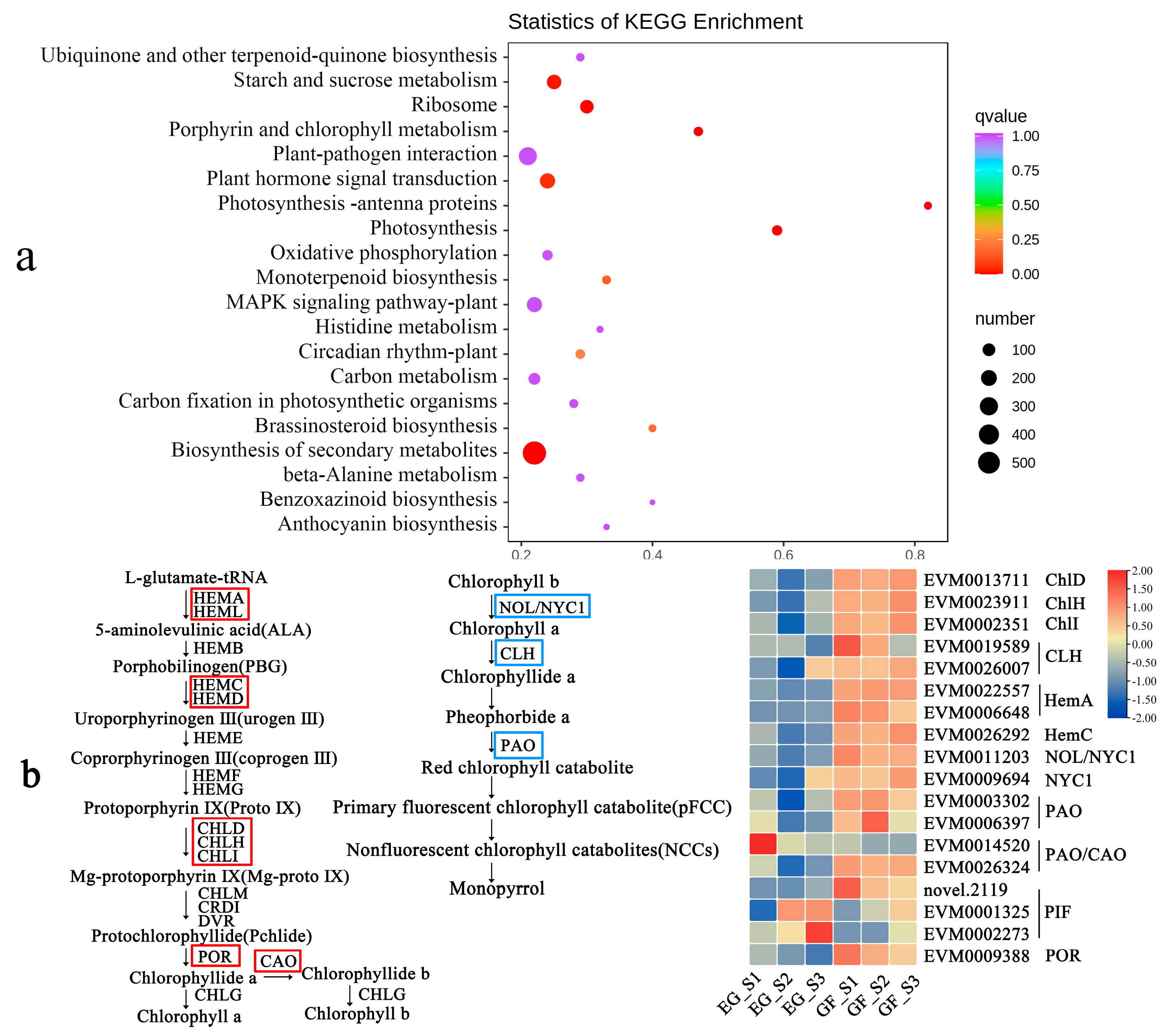 Plants 14 00114 g007