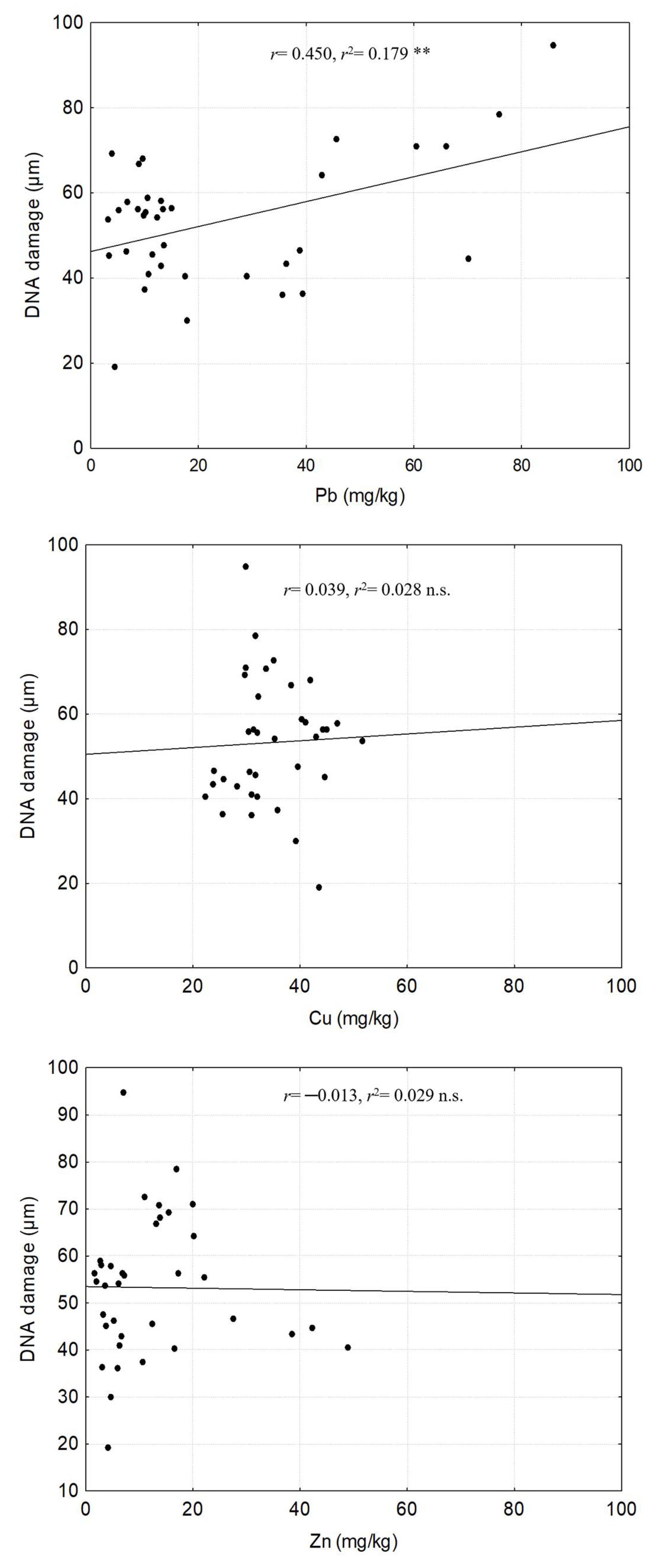 Plants 14 00118 g004