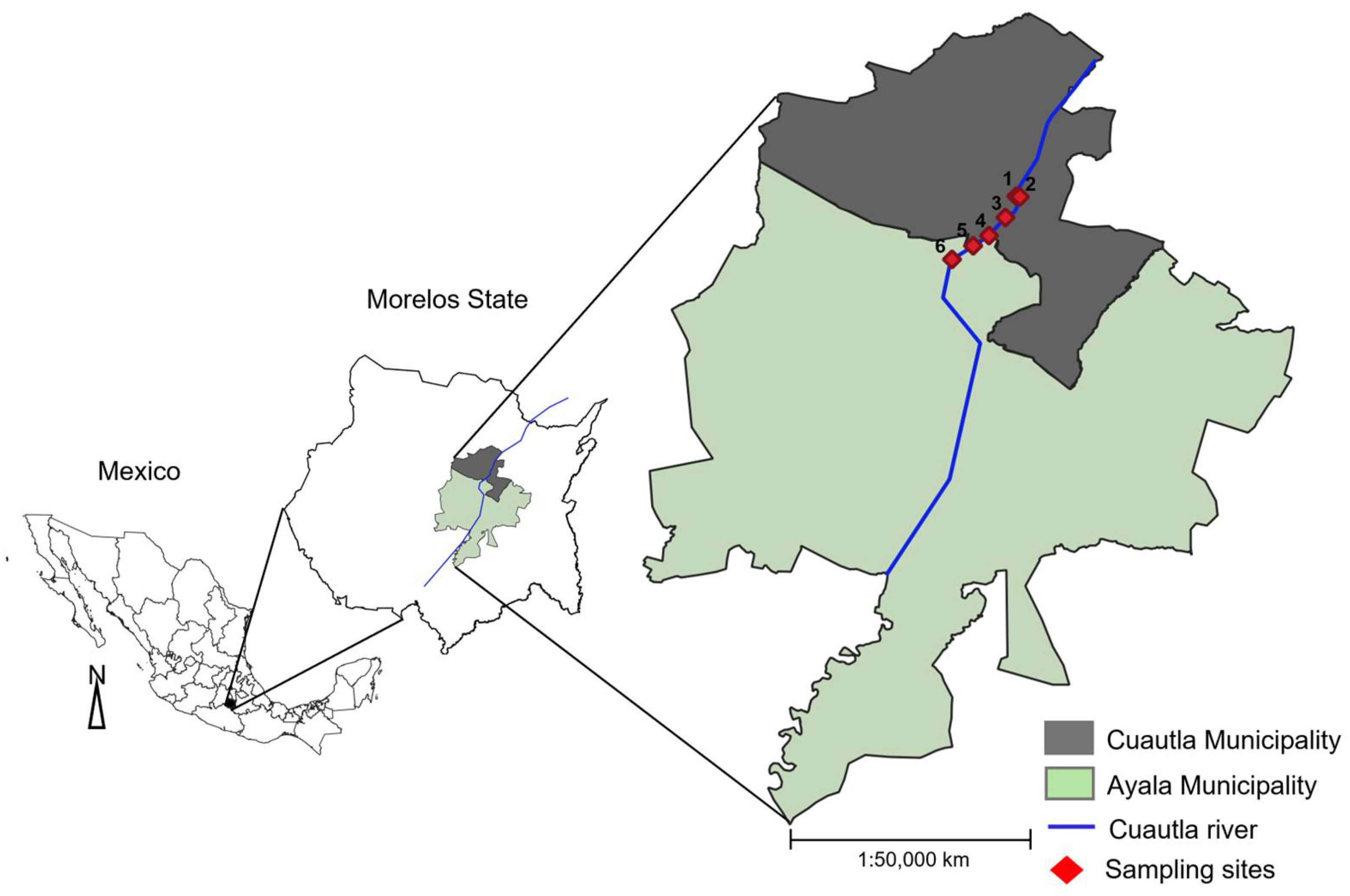 Plants 14 00118 g005