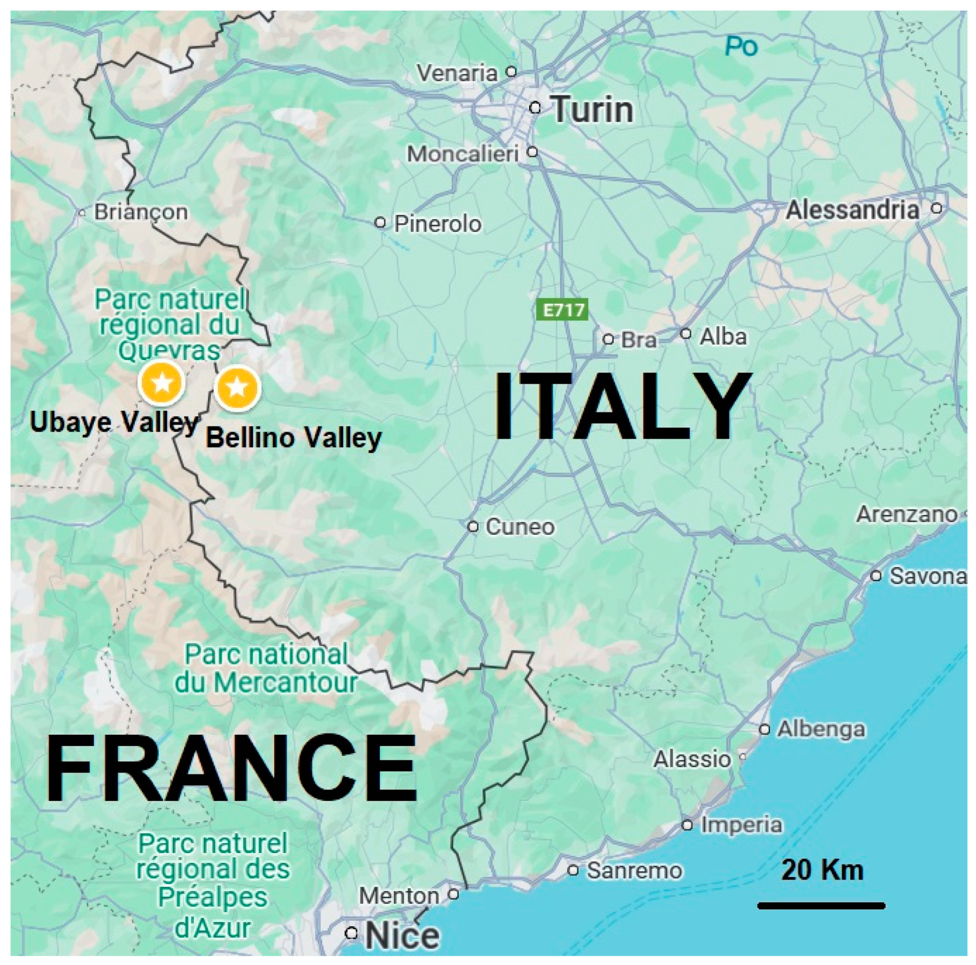 Plants 14 00122 g004