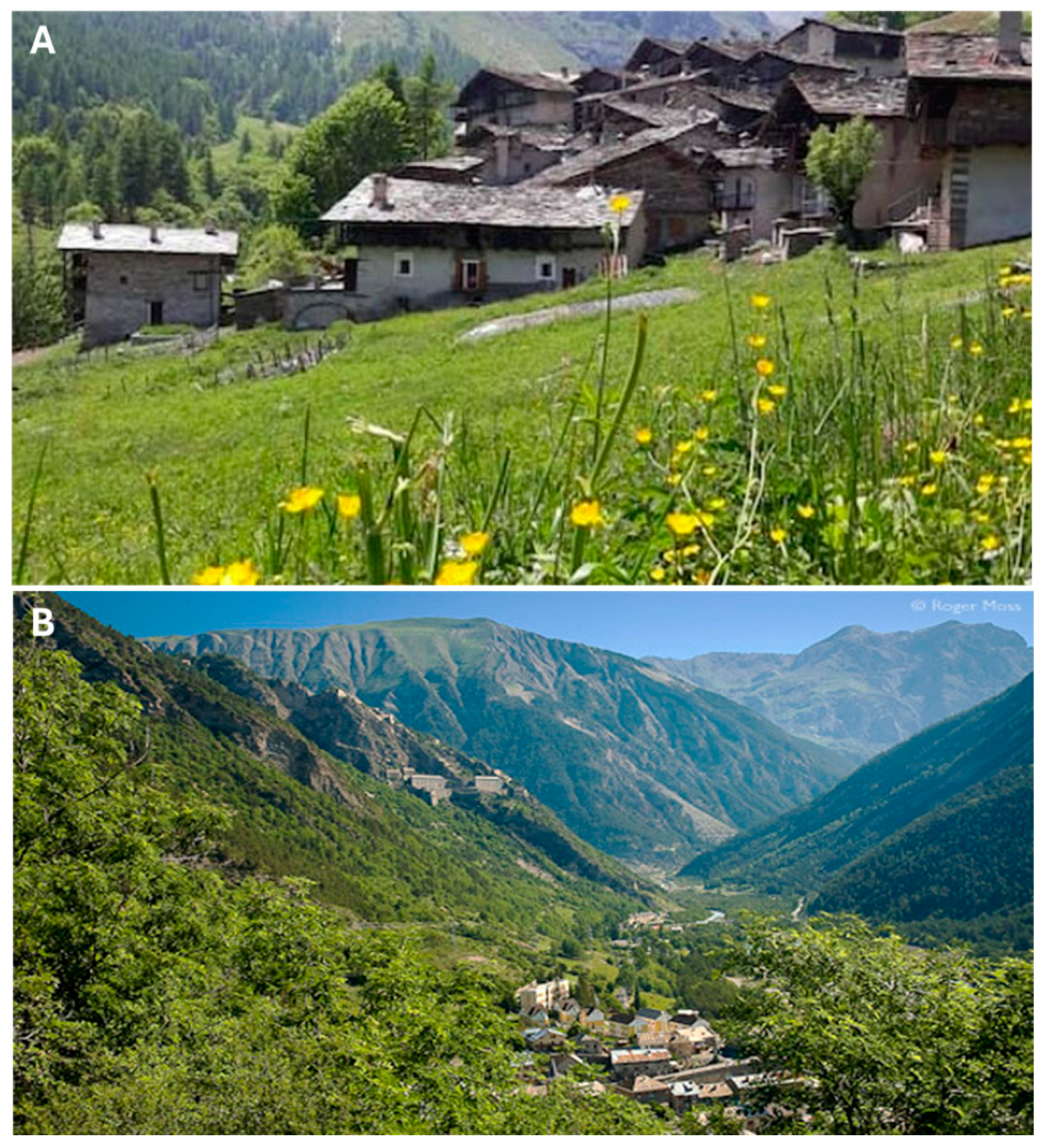 Plants 14 00122 g005