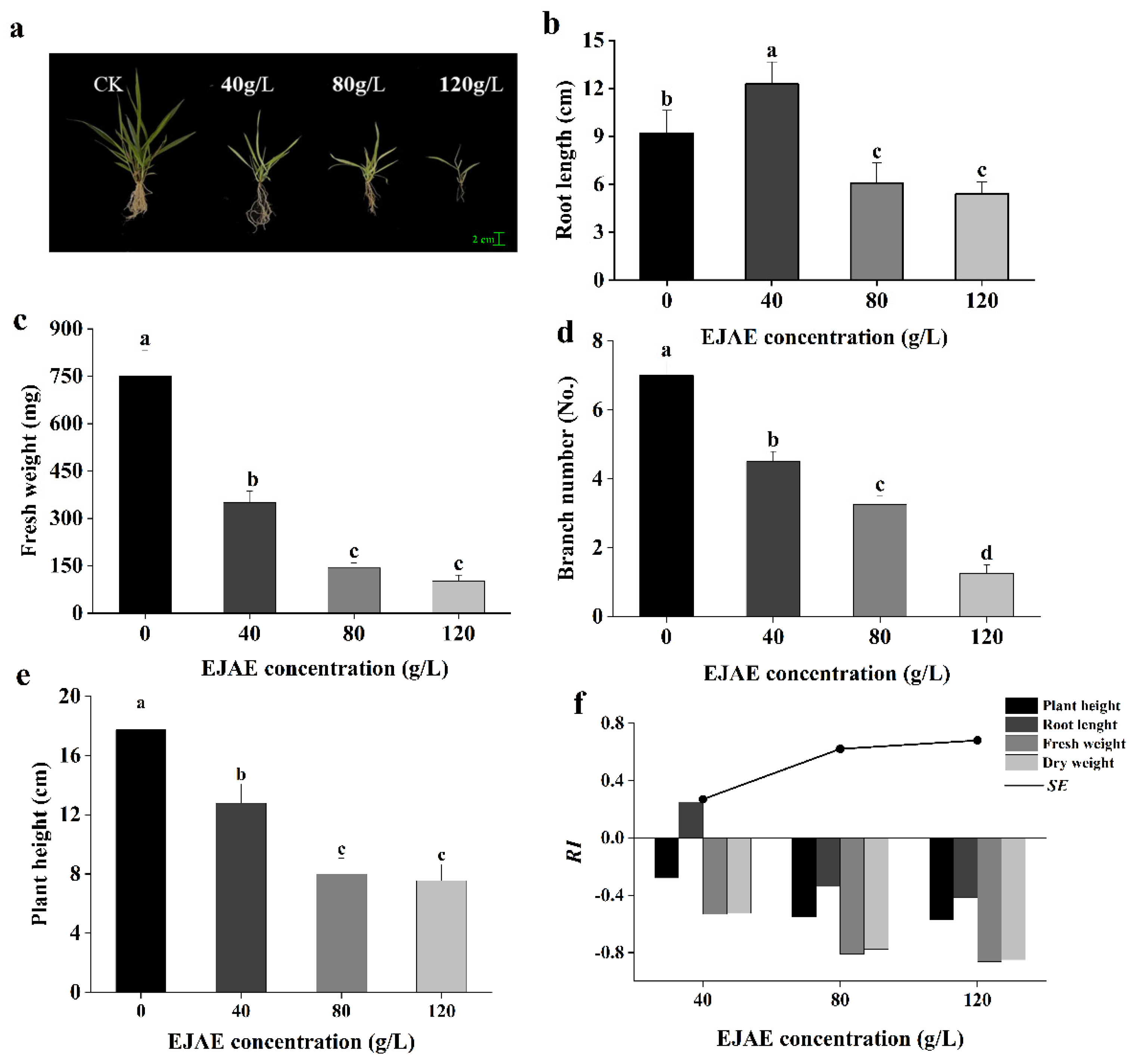 Plants 14 00123 g001 Plants 14 00123 g001