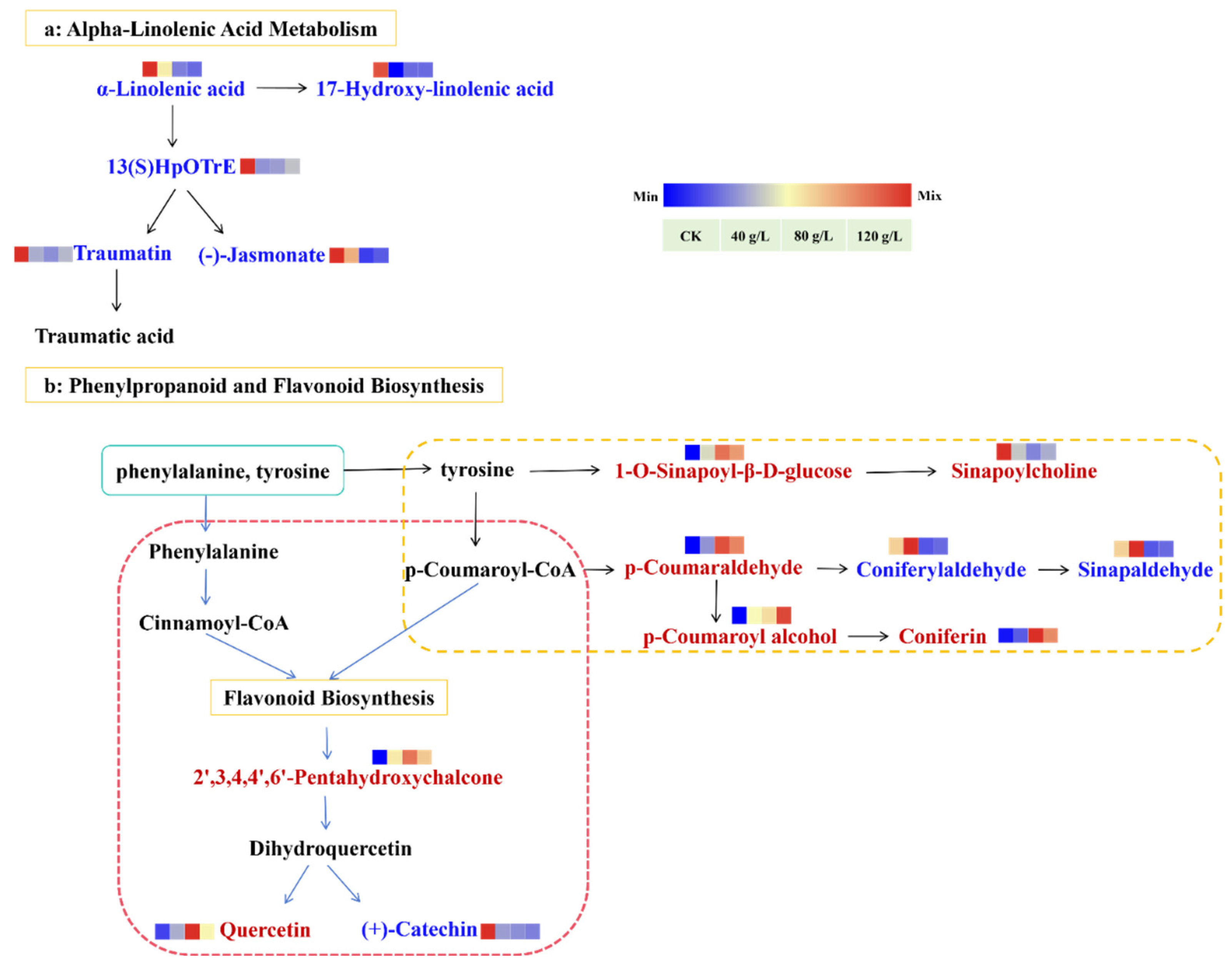 Plants 14 00123 g007 Plants 14 00123 g007