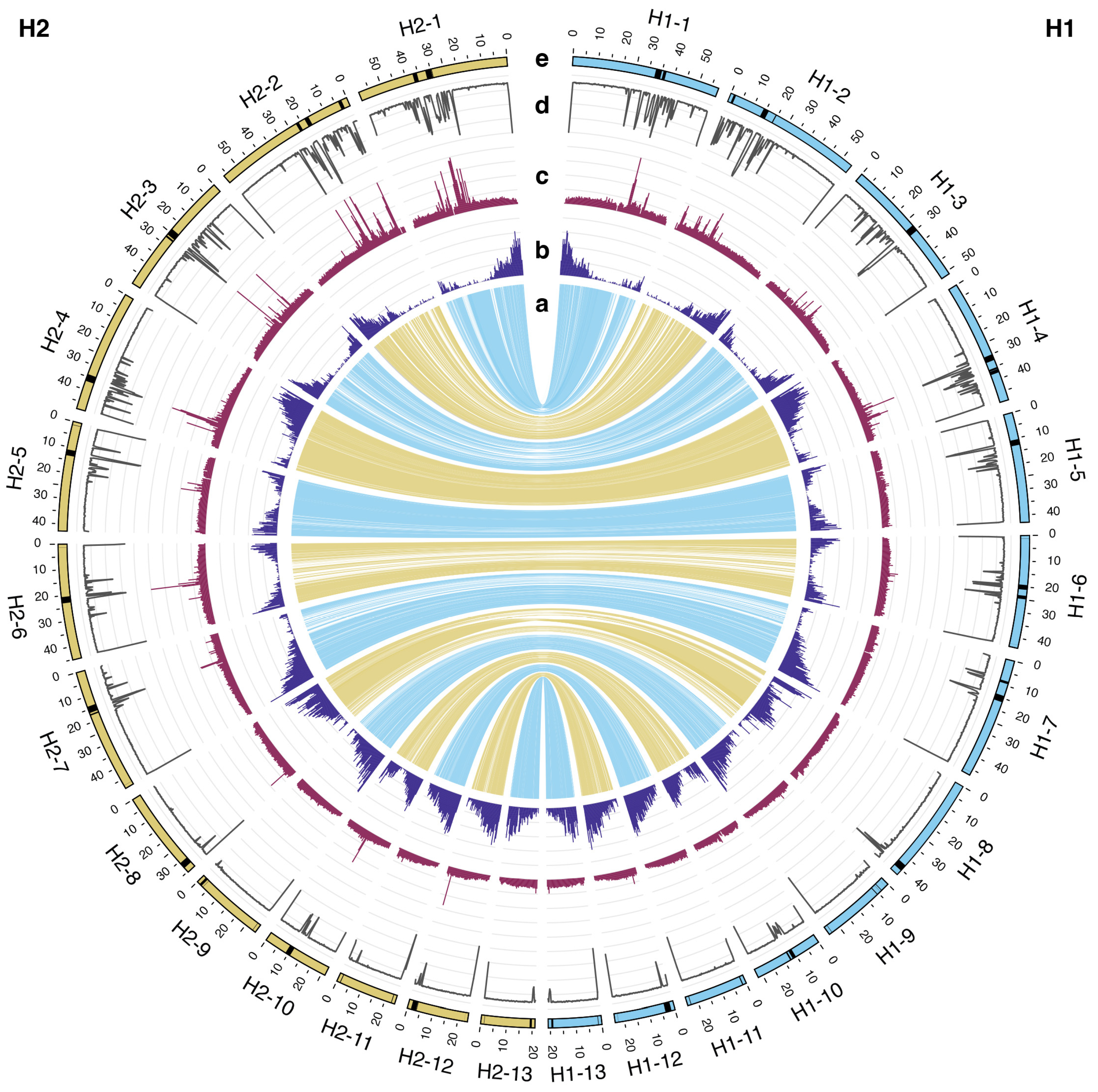 Plants 14 00124 g001