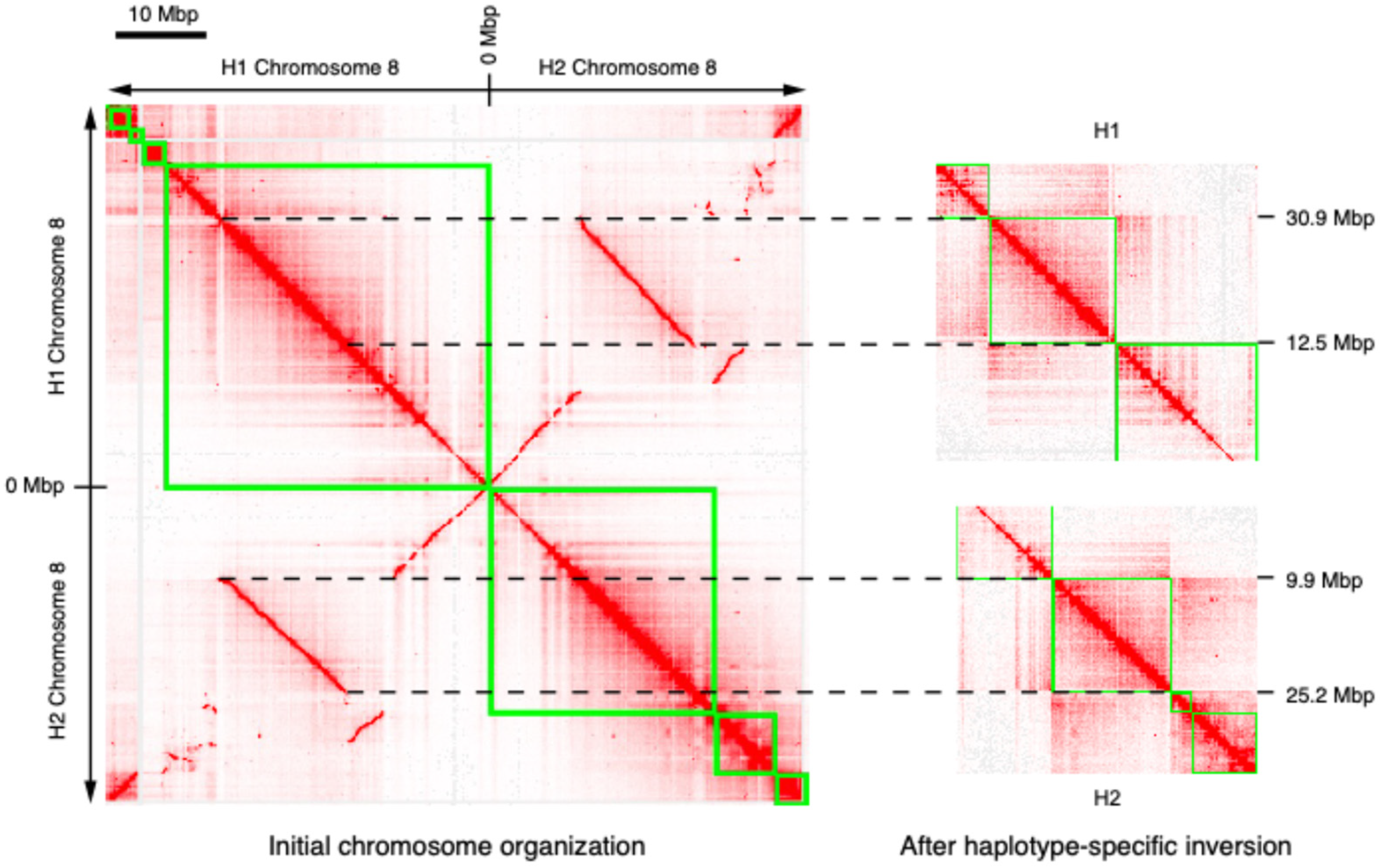 Plants 14 00124 g003