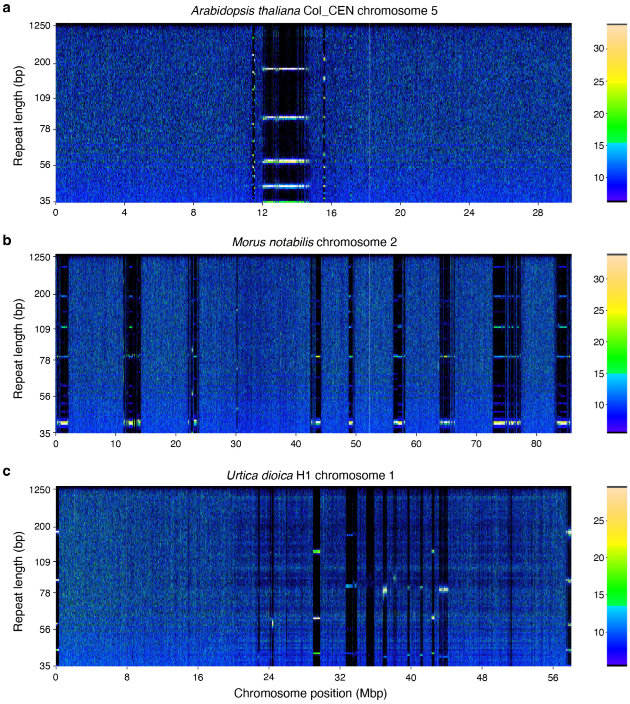 Plants 14 00124 g004