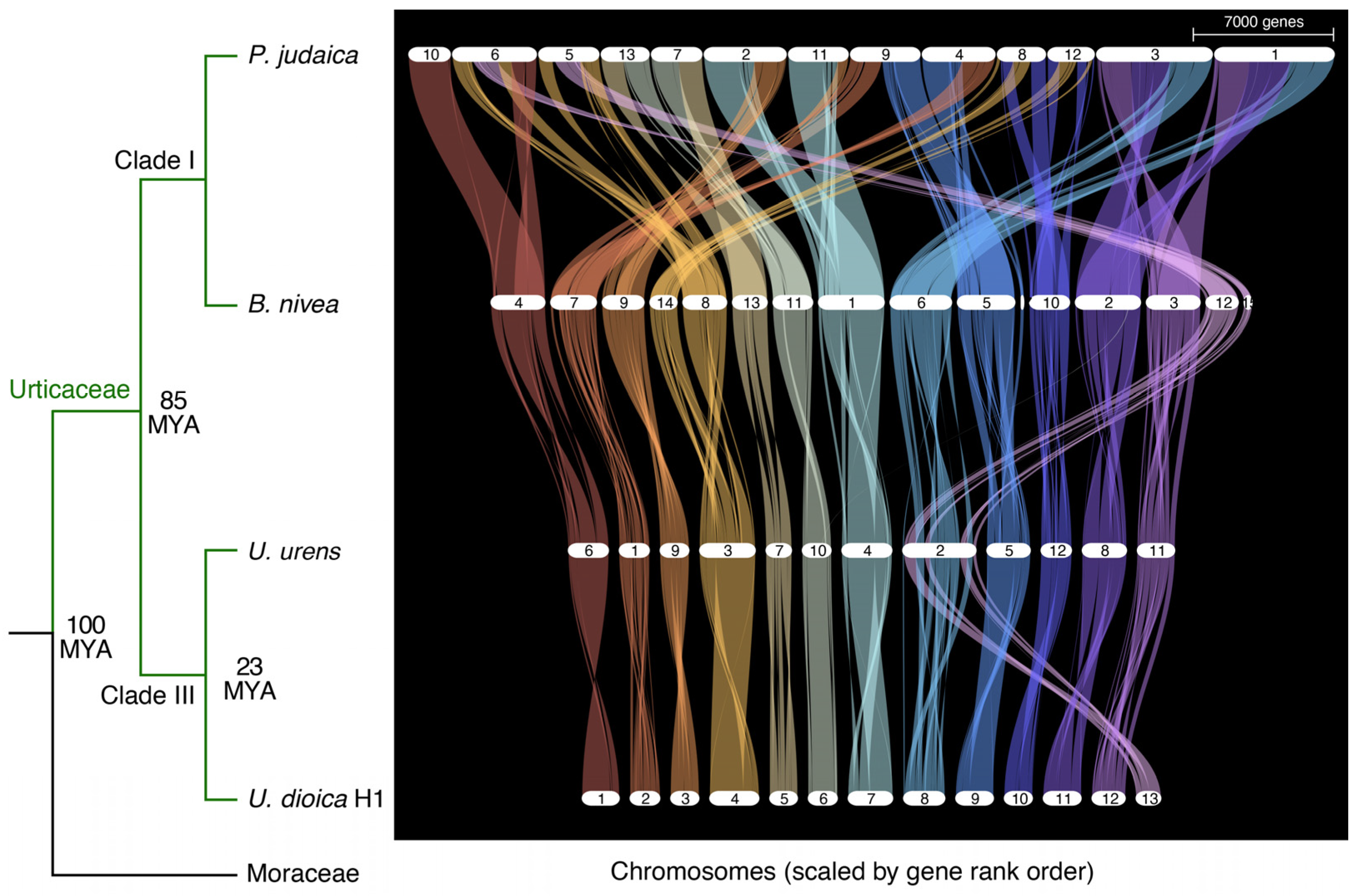 Plants 14 00124 g005