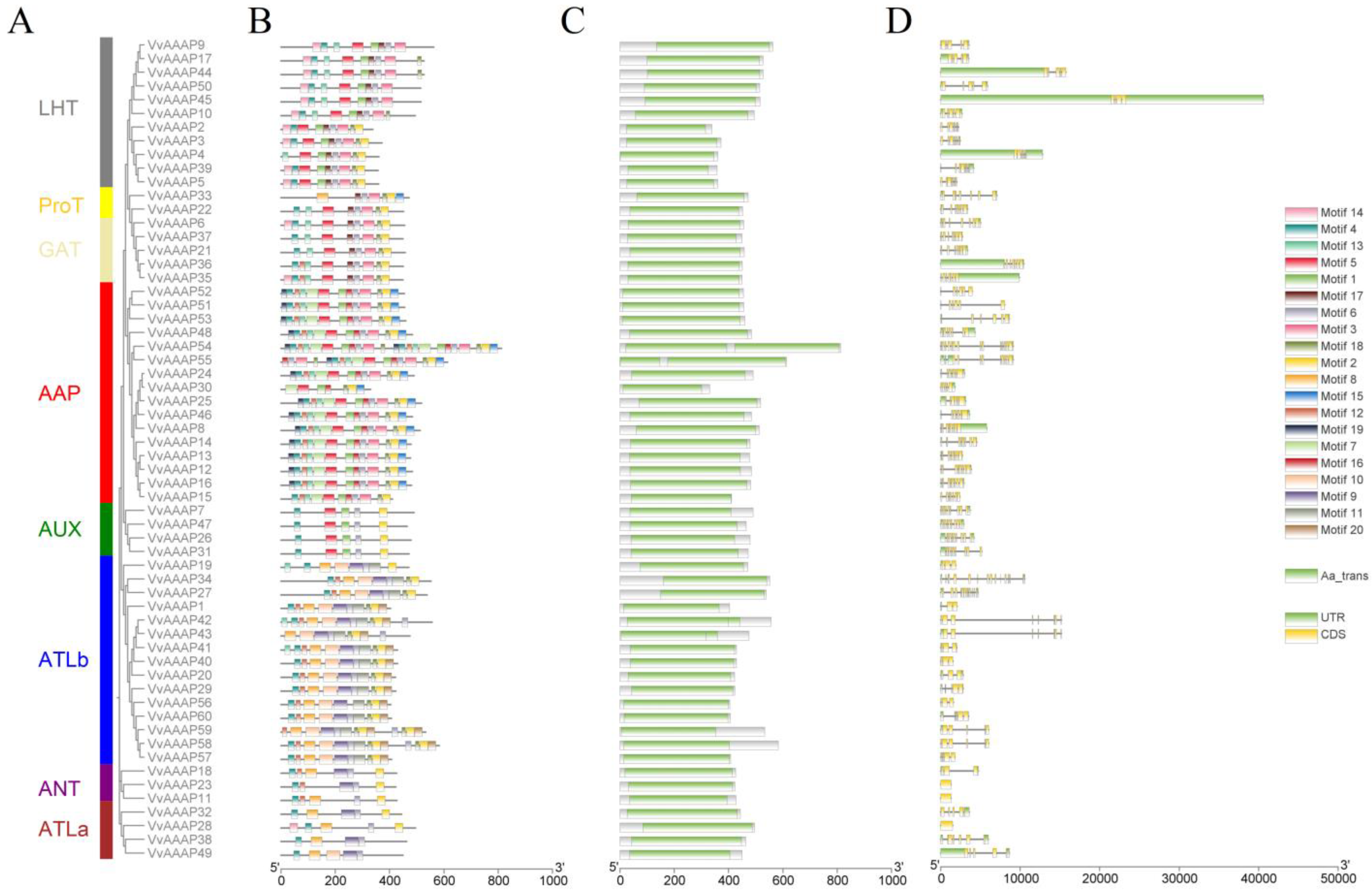 Plants 14 00128 g002