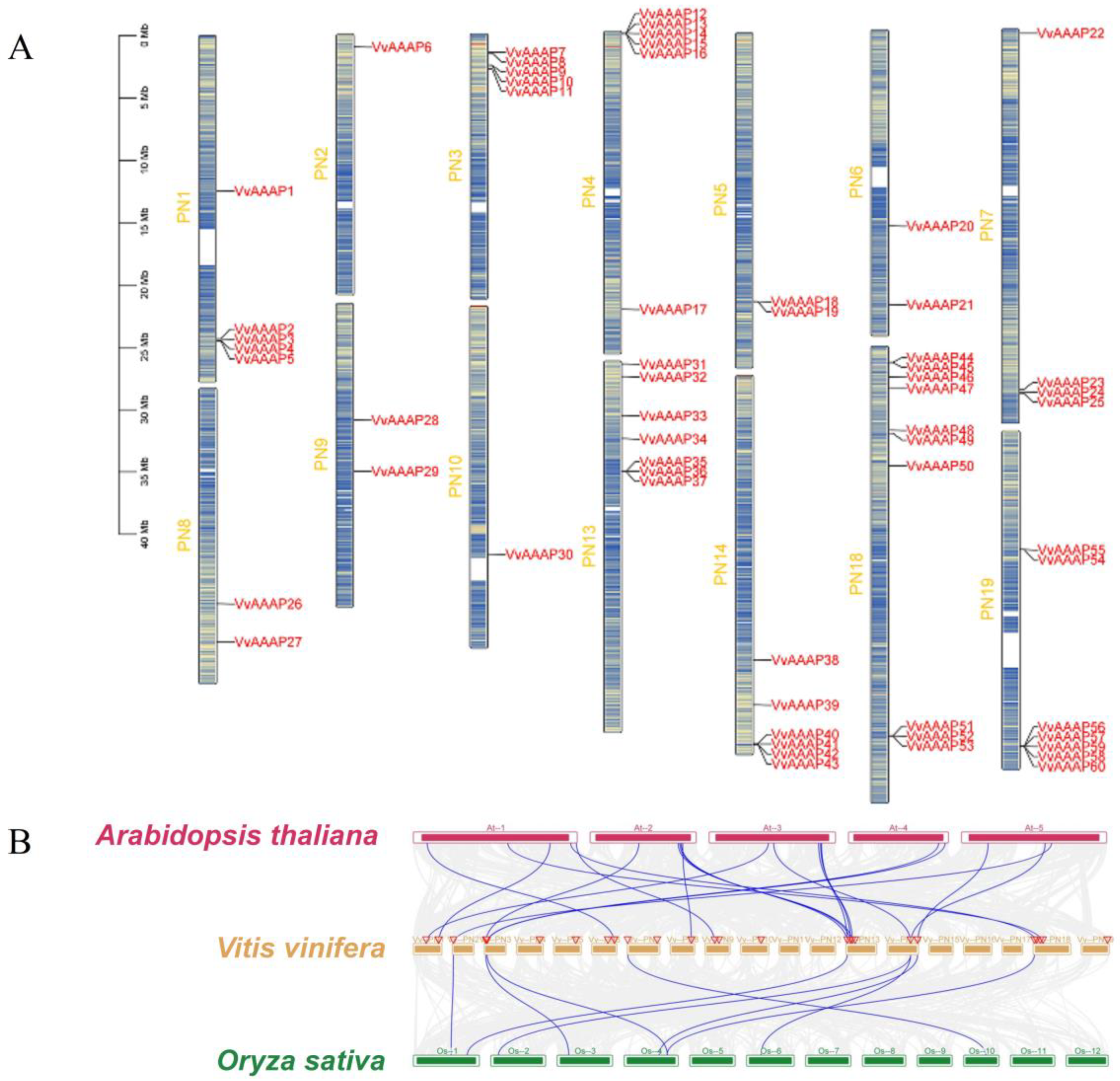 Plants 14 00128 g003