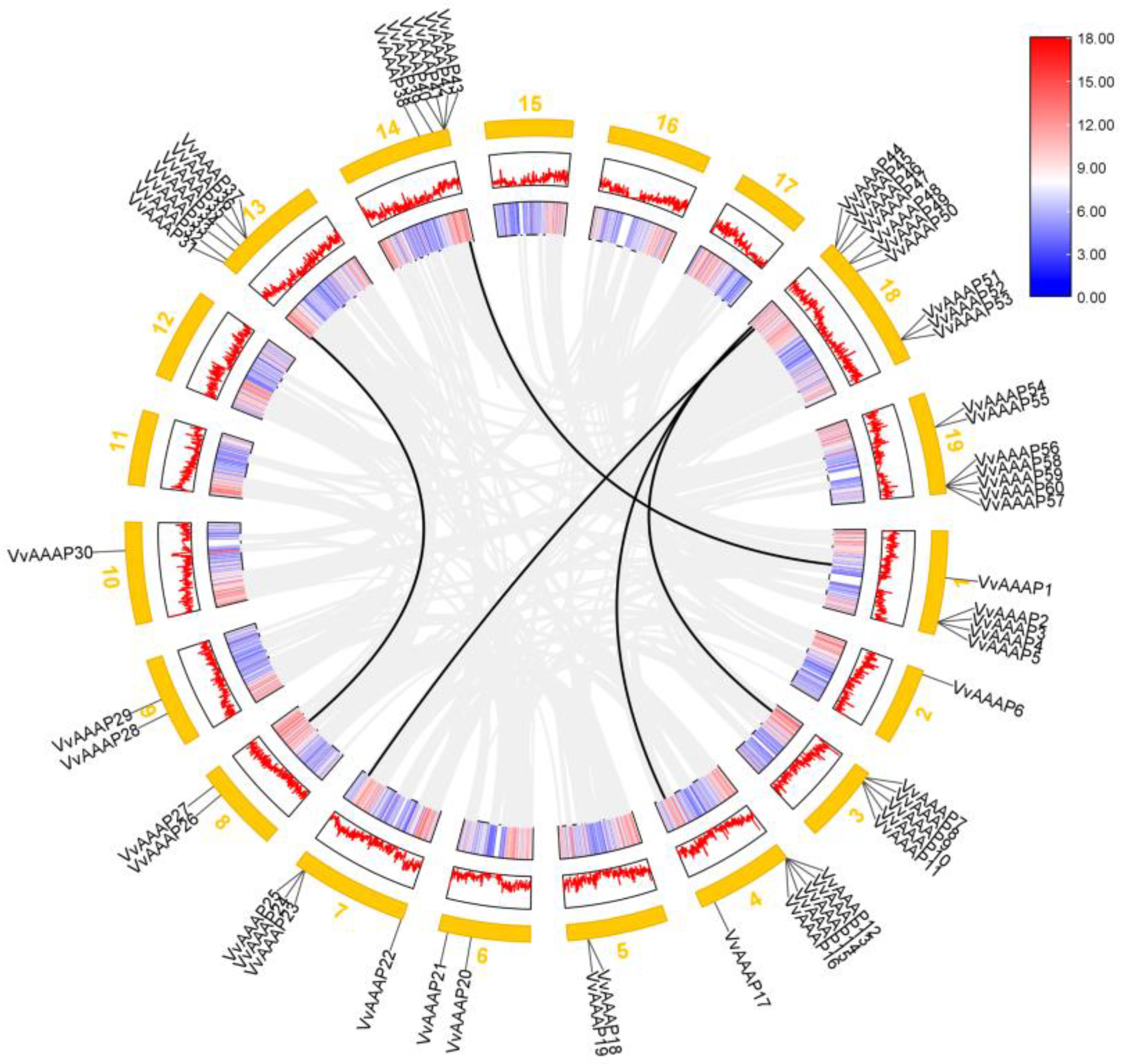 Plants 14 00128 g004