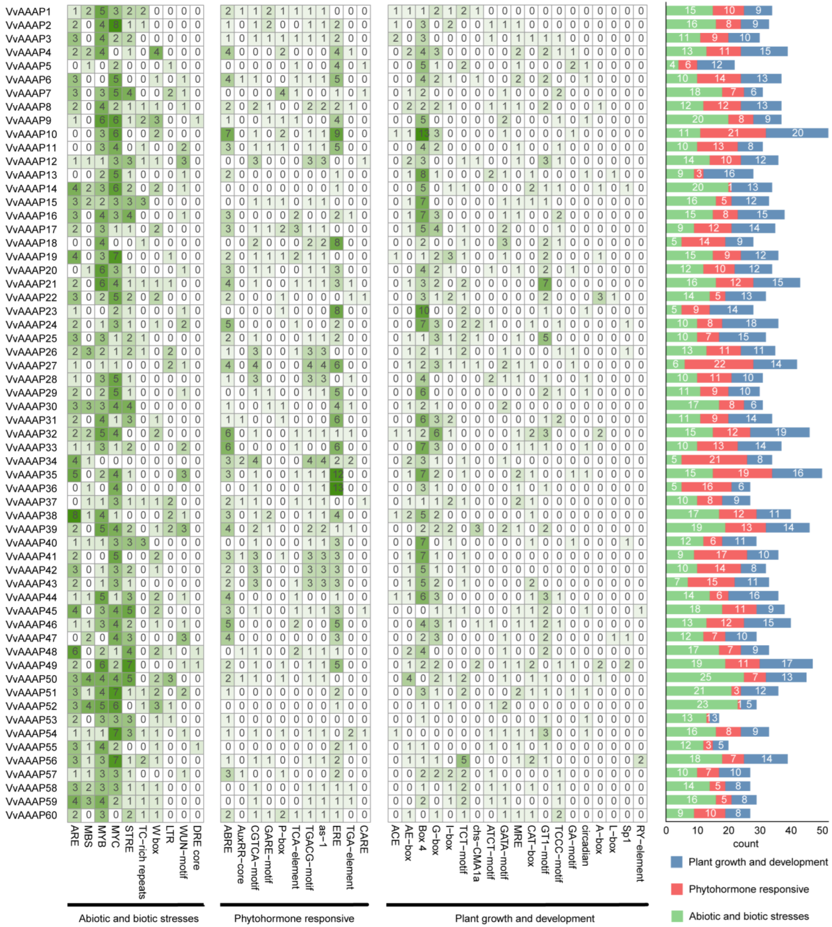 Plants 14 00128 g005