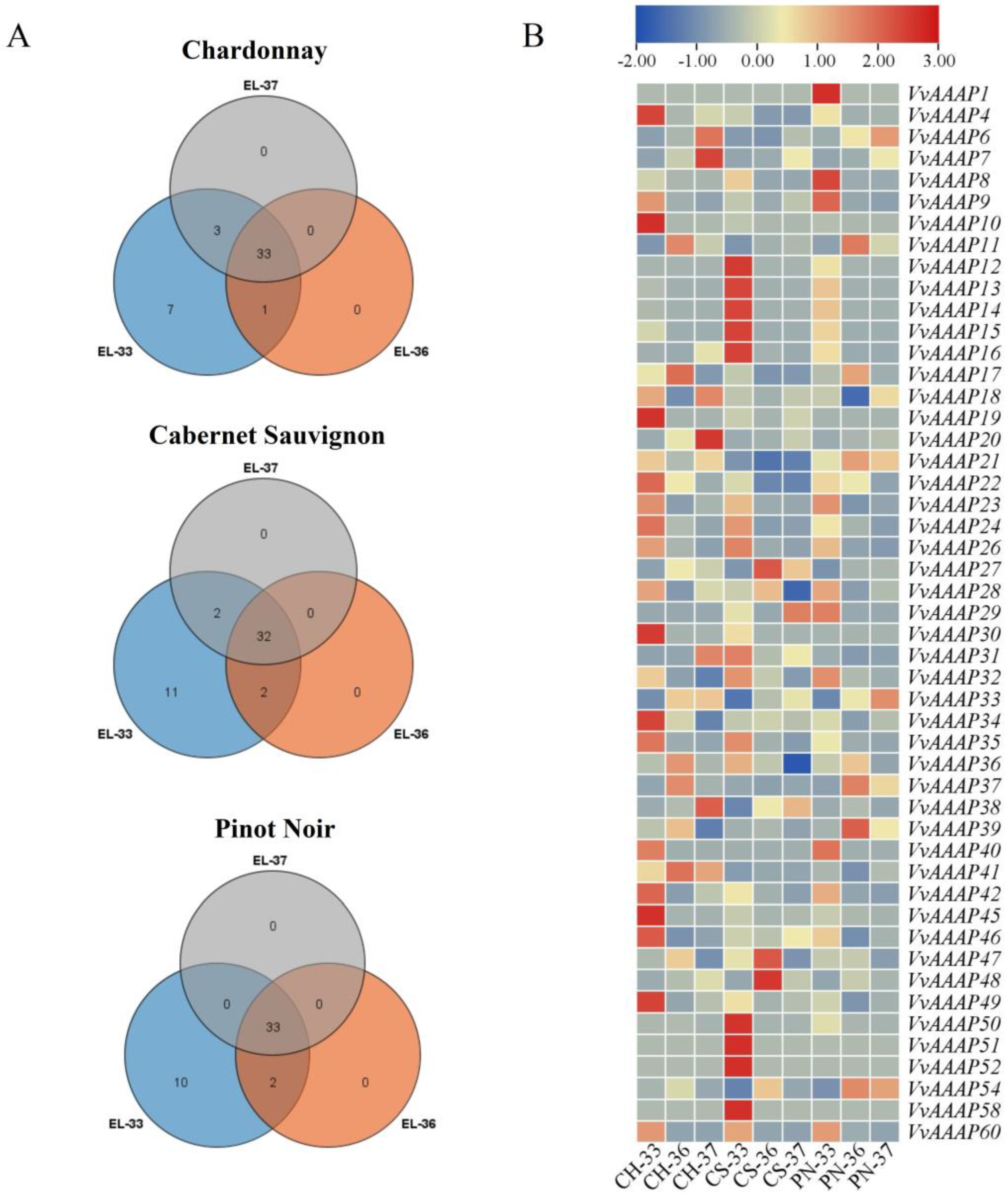 Plants 14 00128 g006