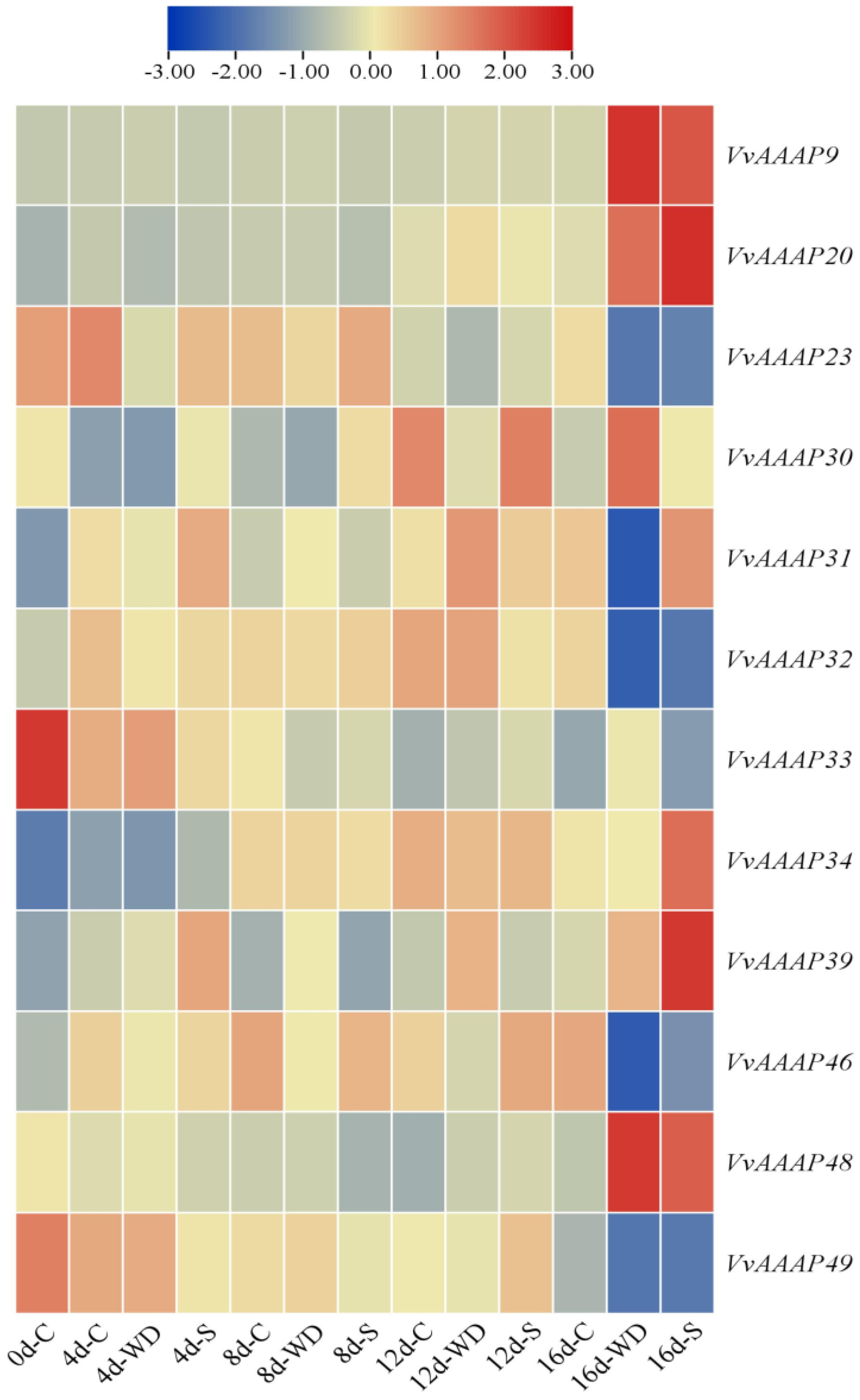 Plants 14 00128 g007