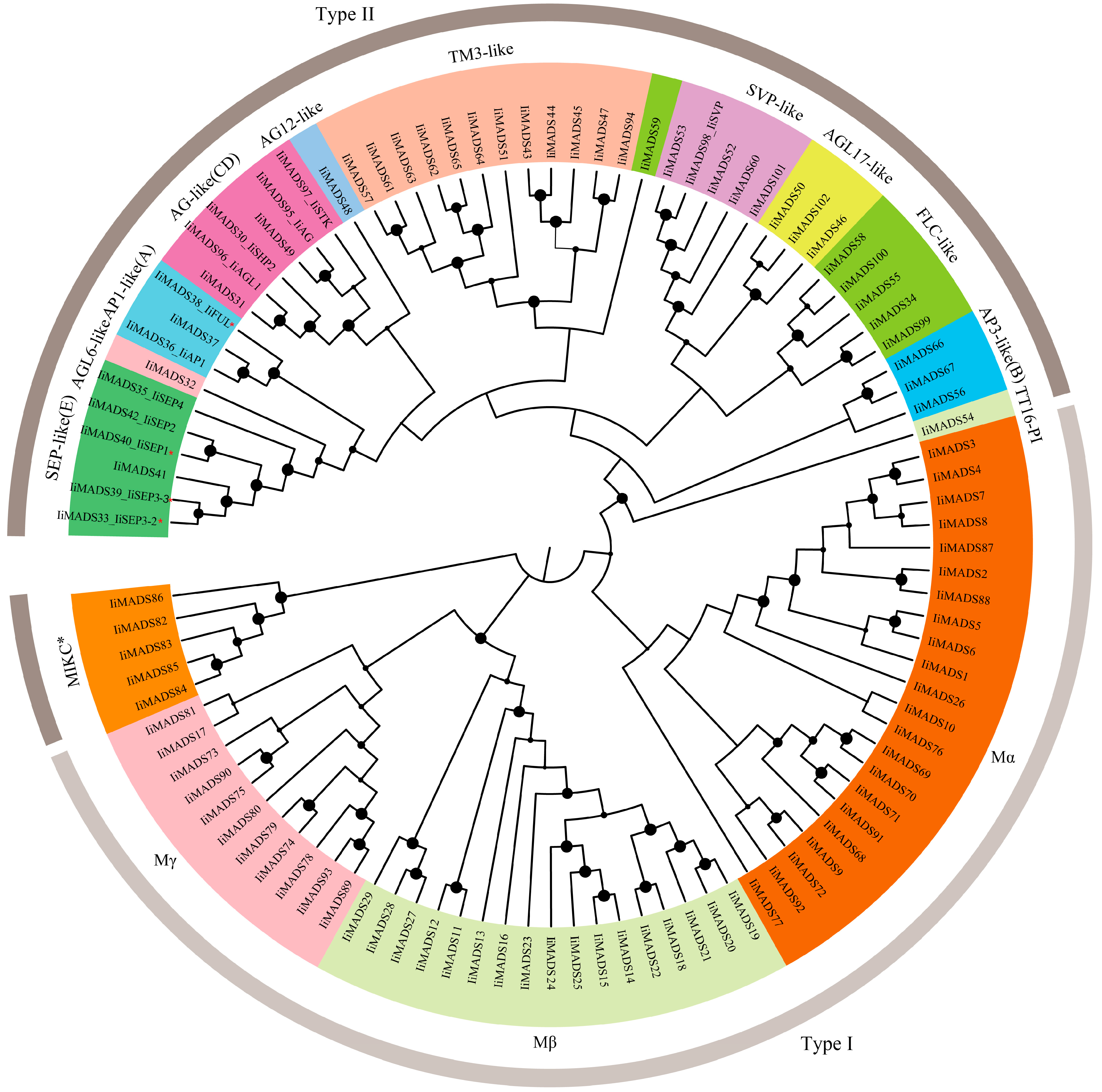 Plants 14 00129 g002