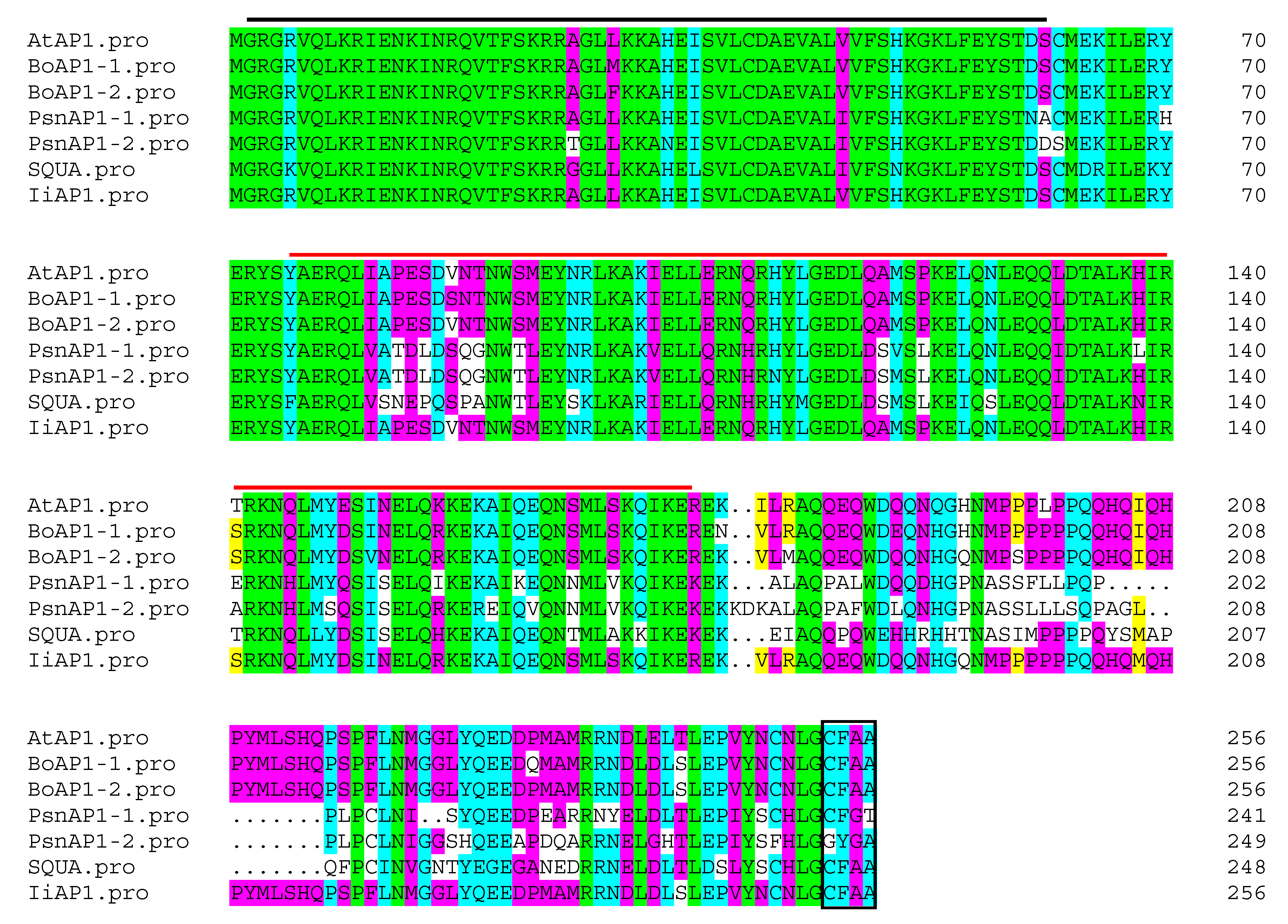 Plants 14 00129 g006