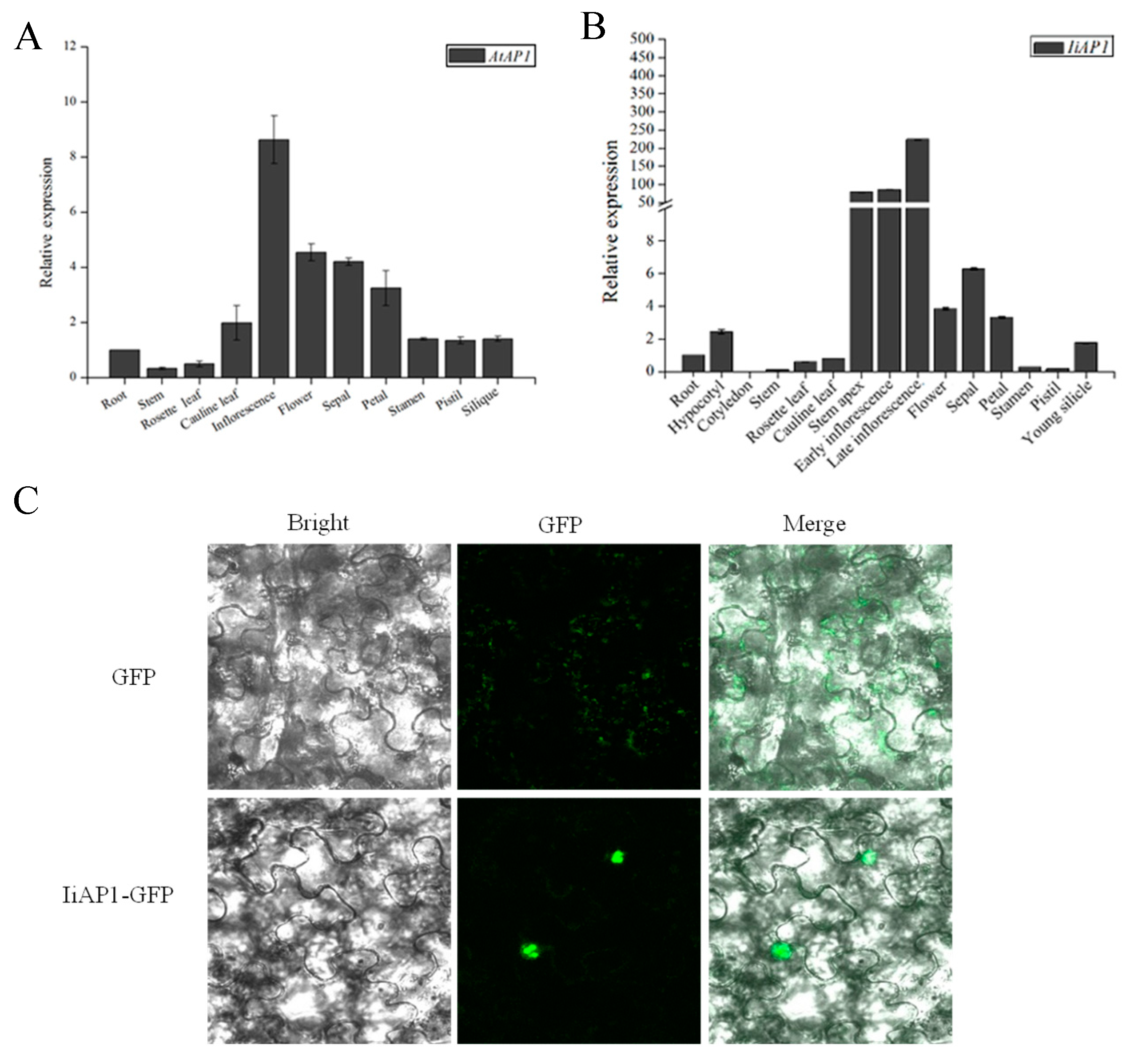 Plants 14 00129 g007