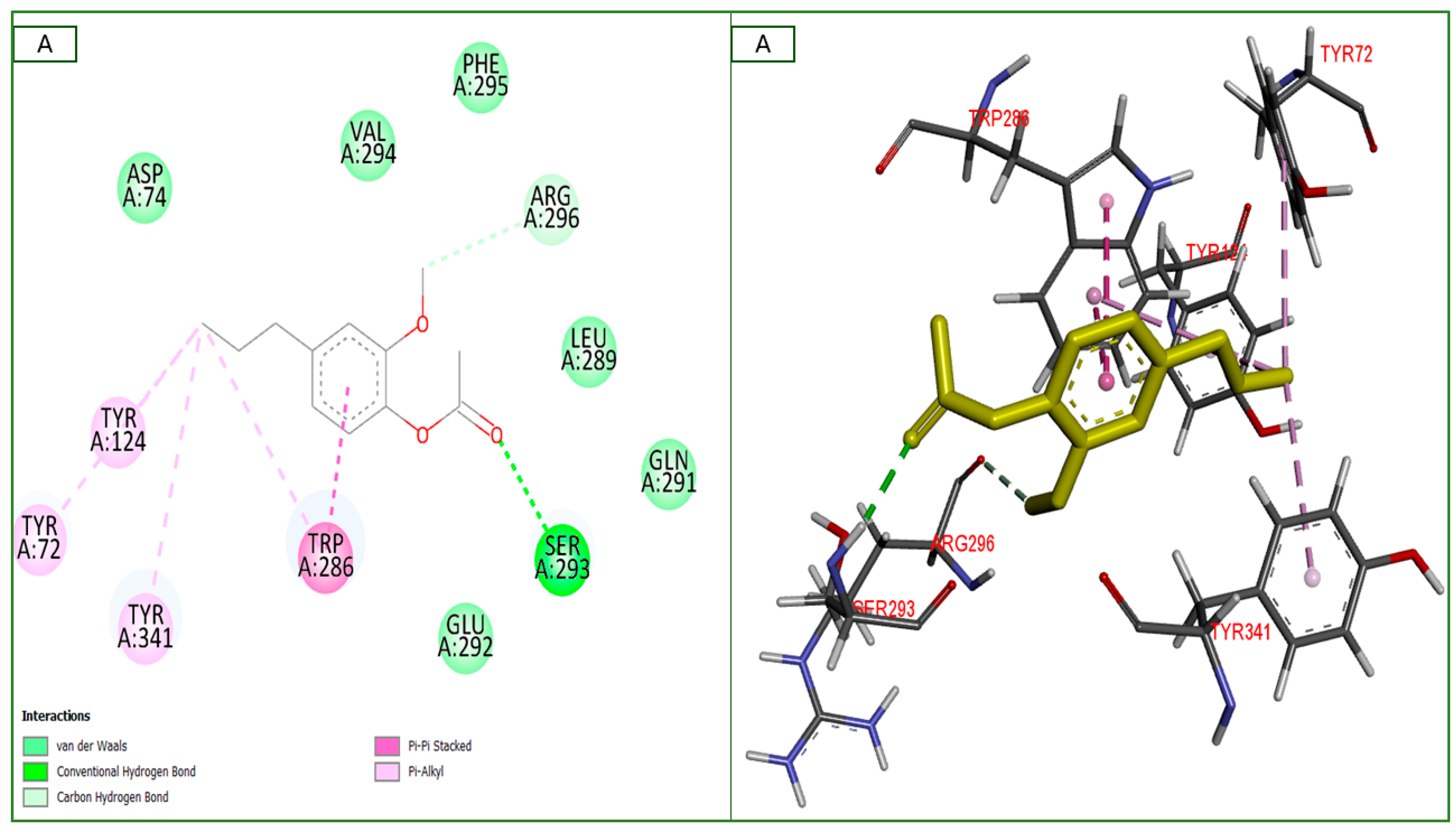 Plants 14 00130 g010a Plants 14 00130 g010a