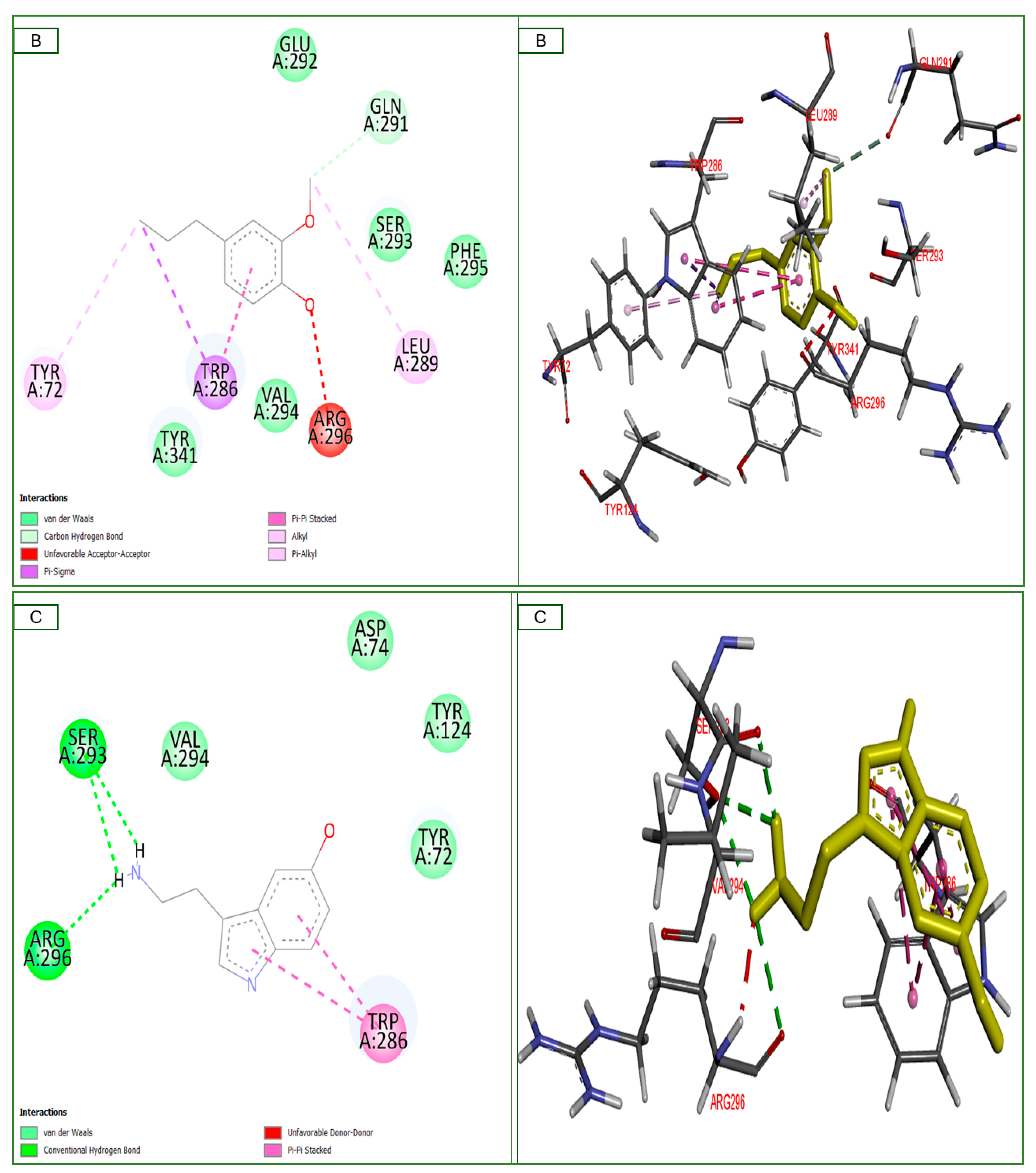 Plants 14 00130 g010b Plants 14 00130 g010b