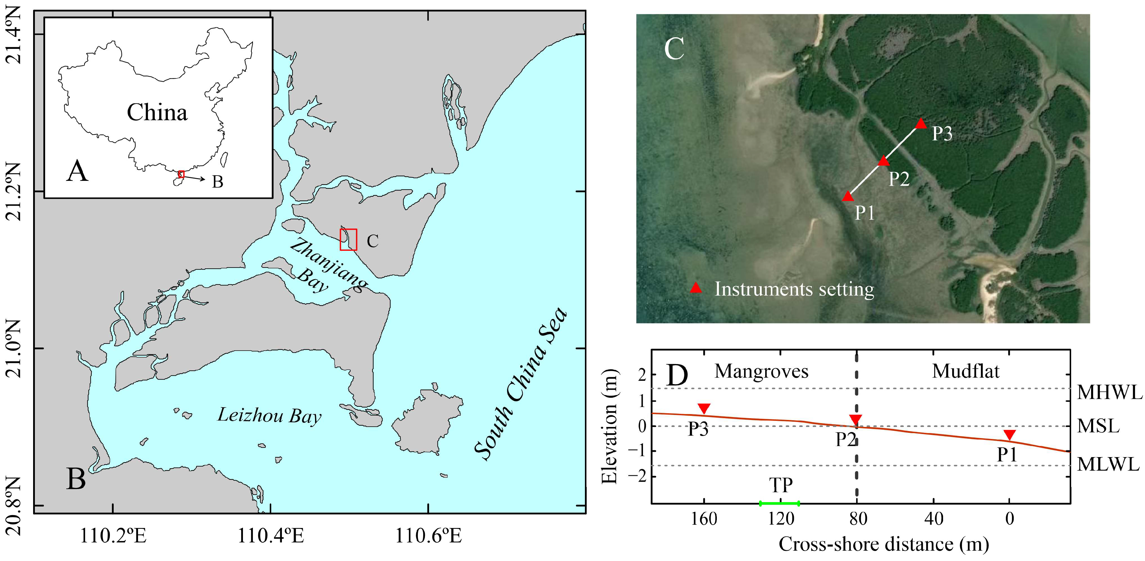 Plants 14 00135 g001
