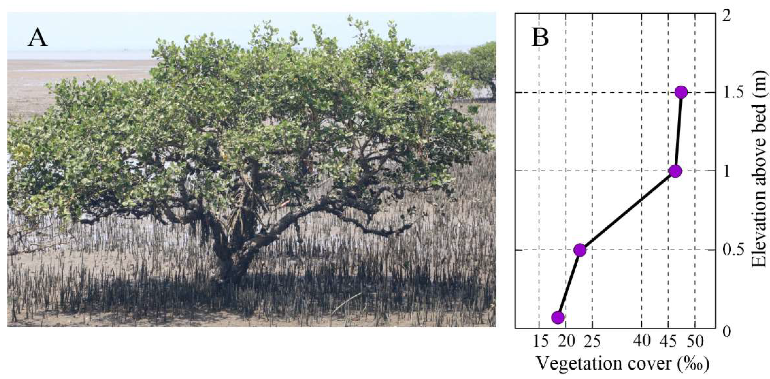 Plants 14 00135 g002