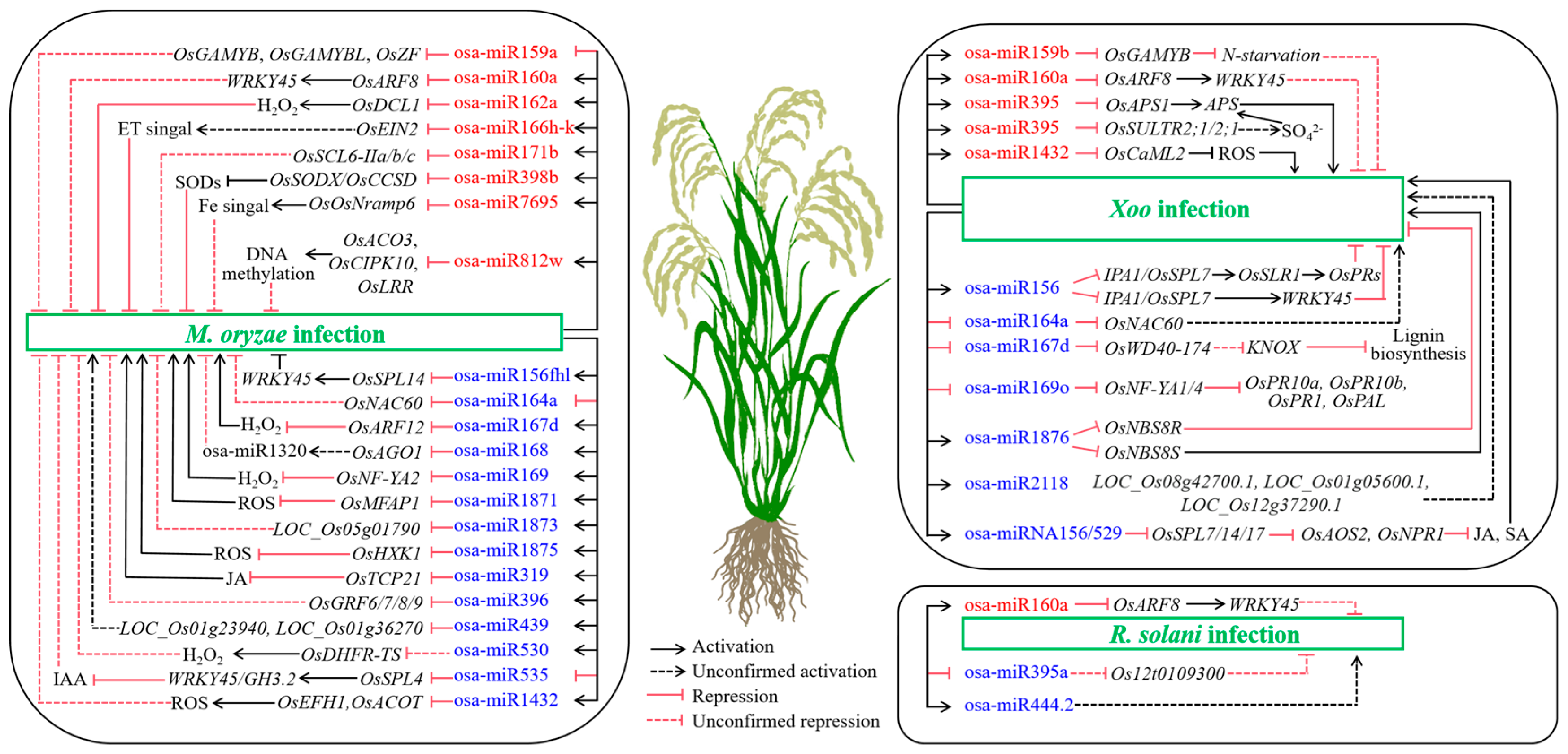 The Roles of MicroRNAs in the Regulation of Rice–Pathogen