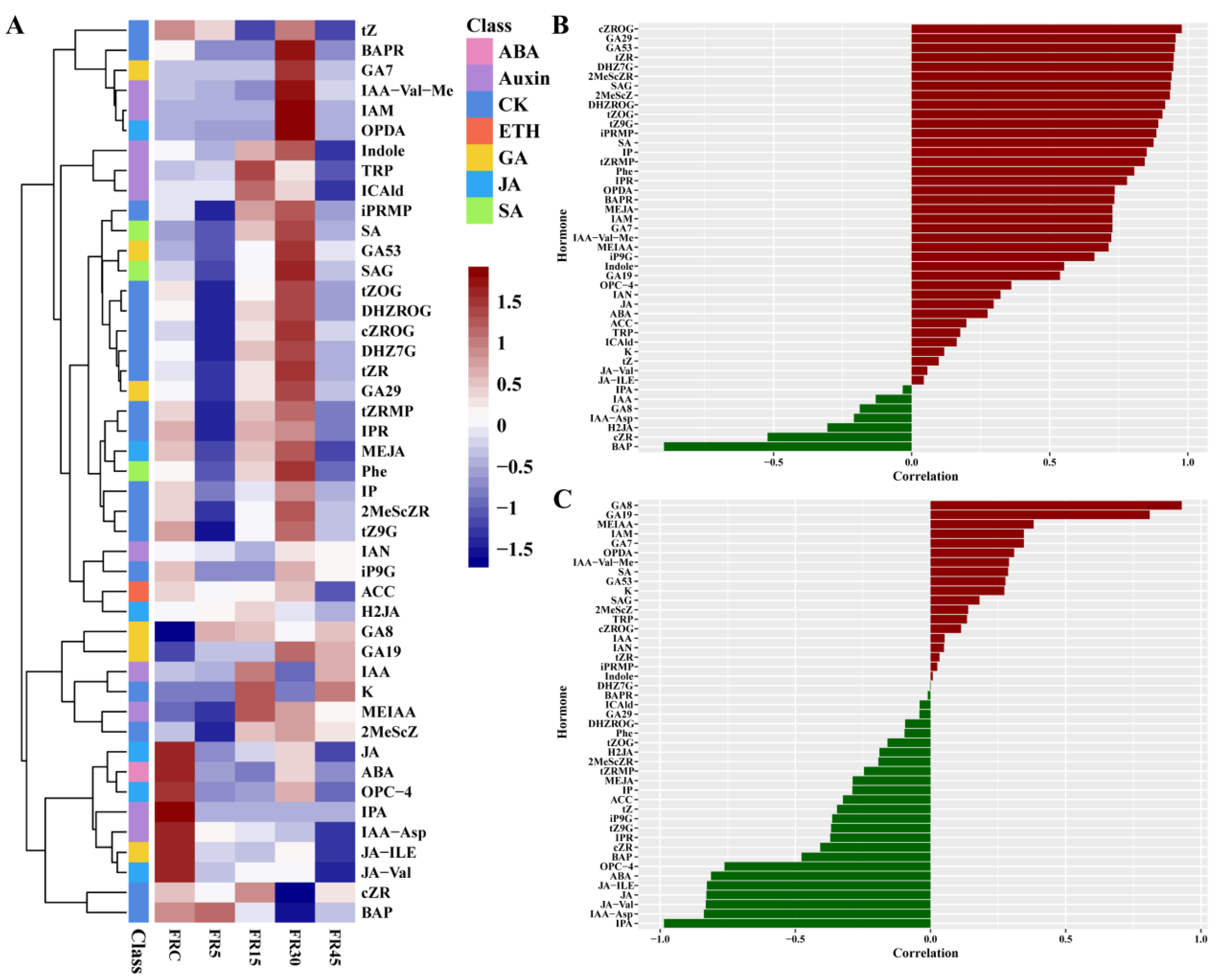 Plants 14 00139 g004