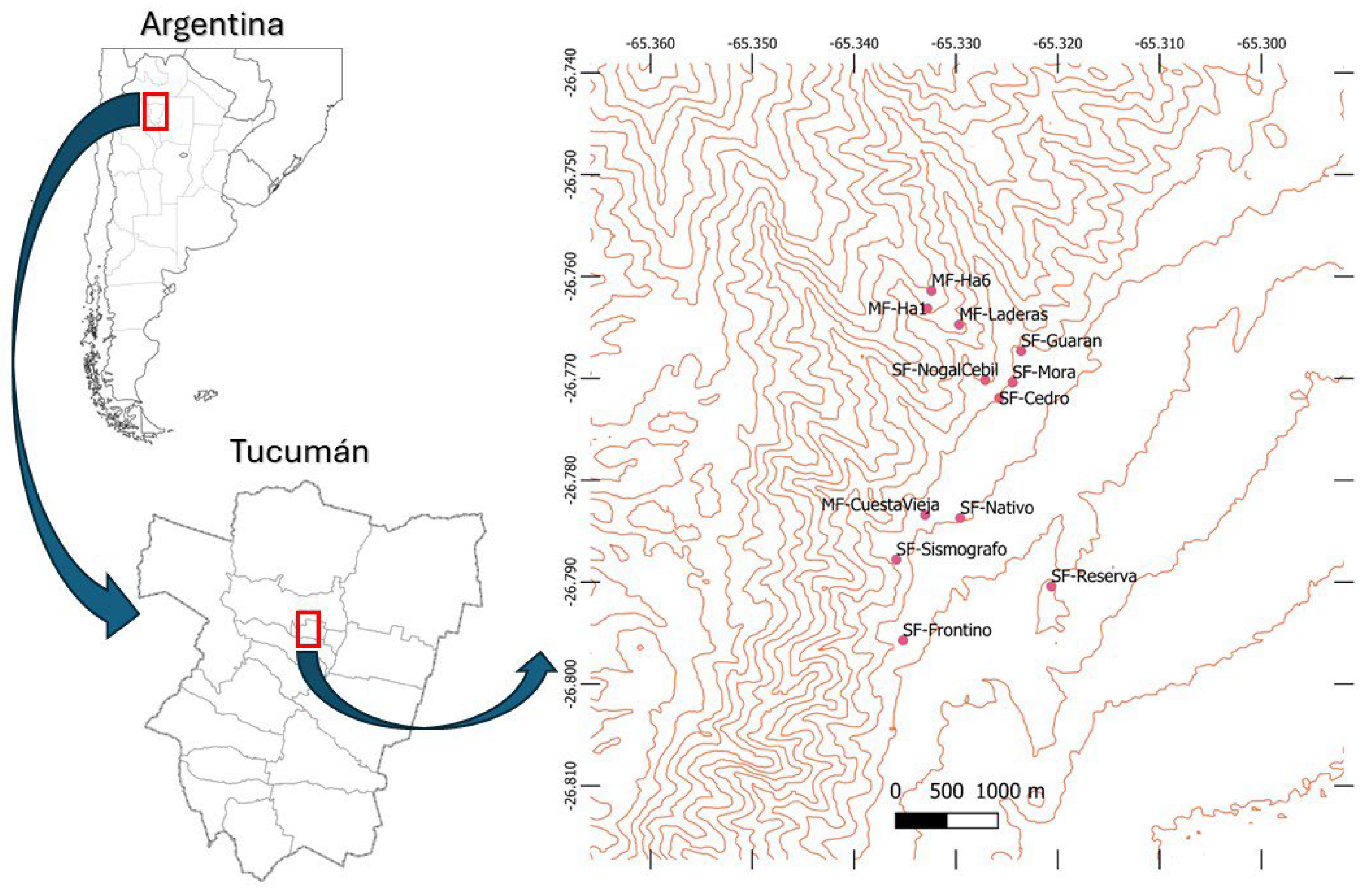 Plants 14 00140 g001