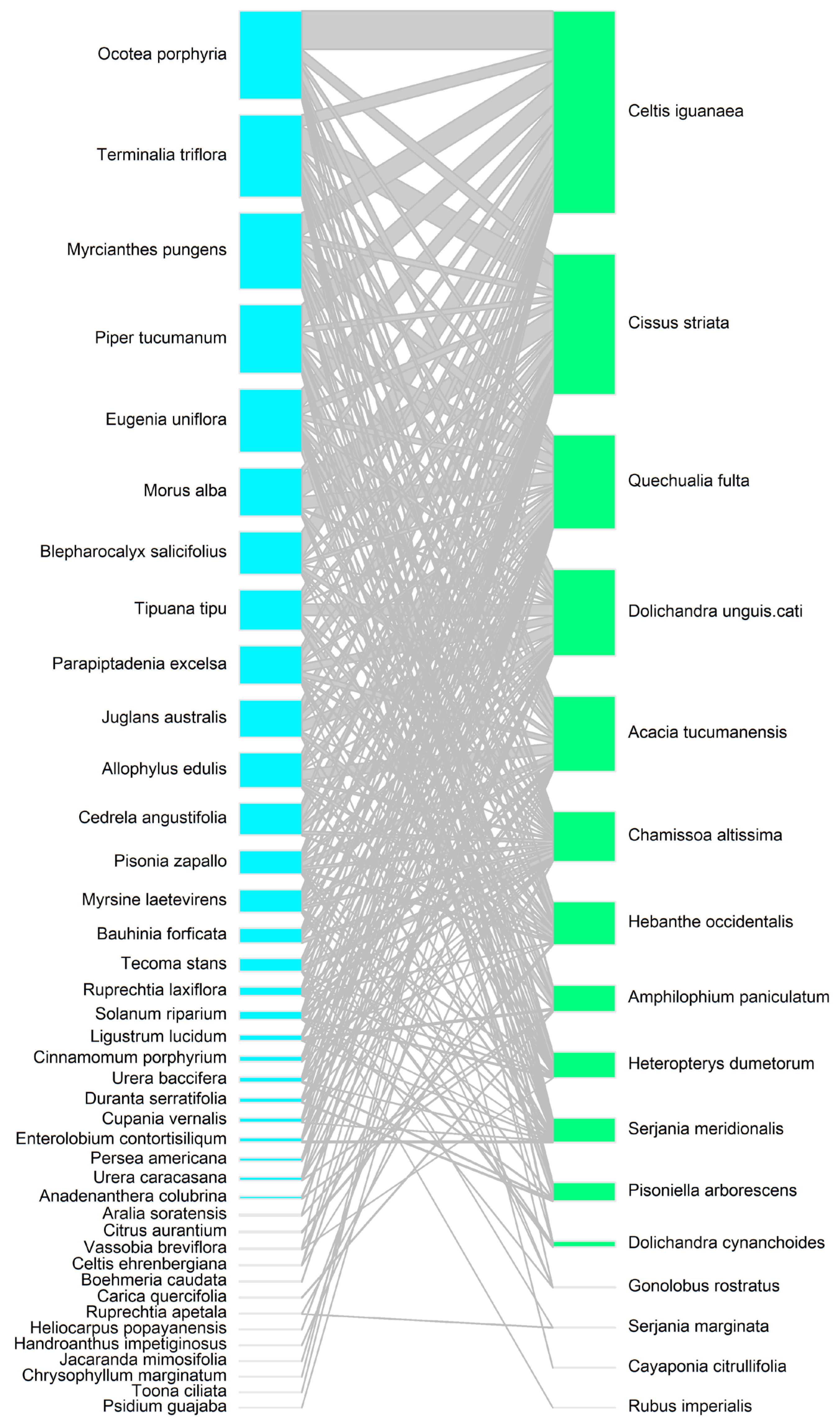 Plants 14 00140 g004
