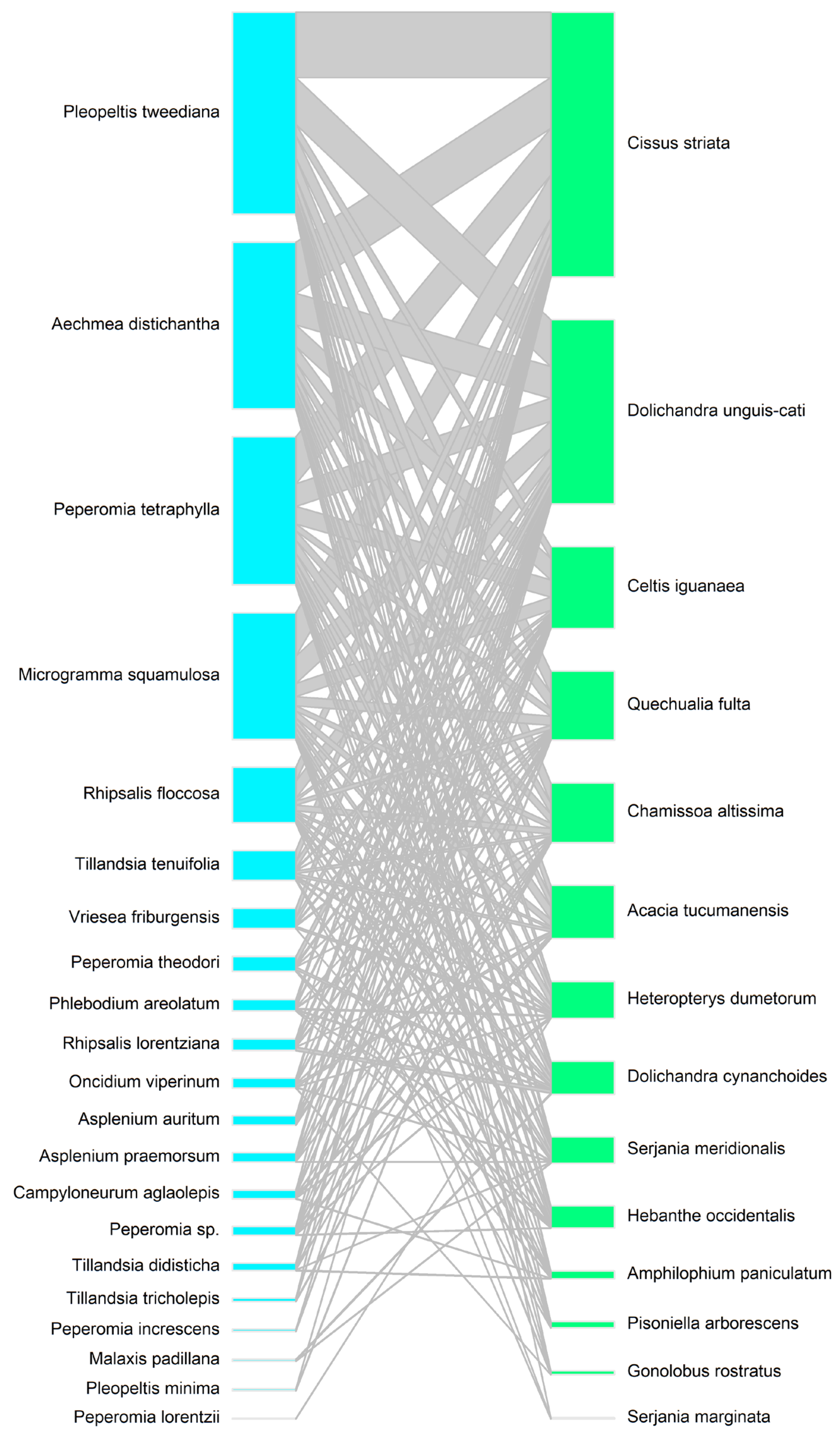 Plants 14 00140 g006