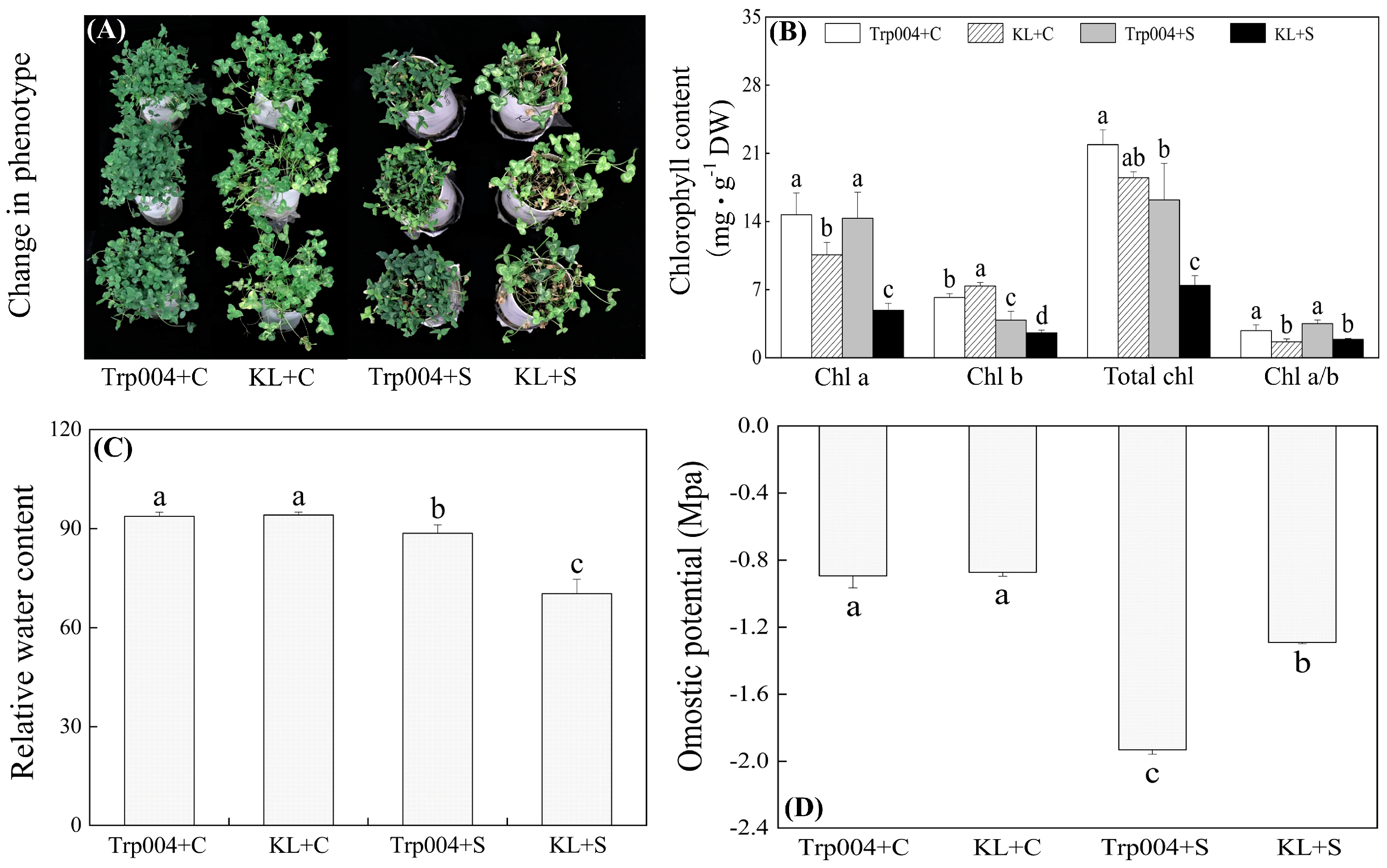 Plants 14 00145 g001