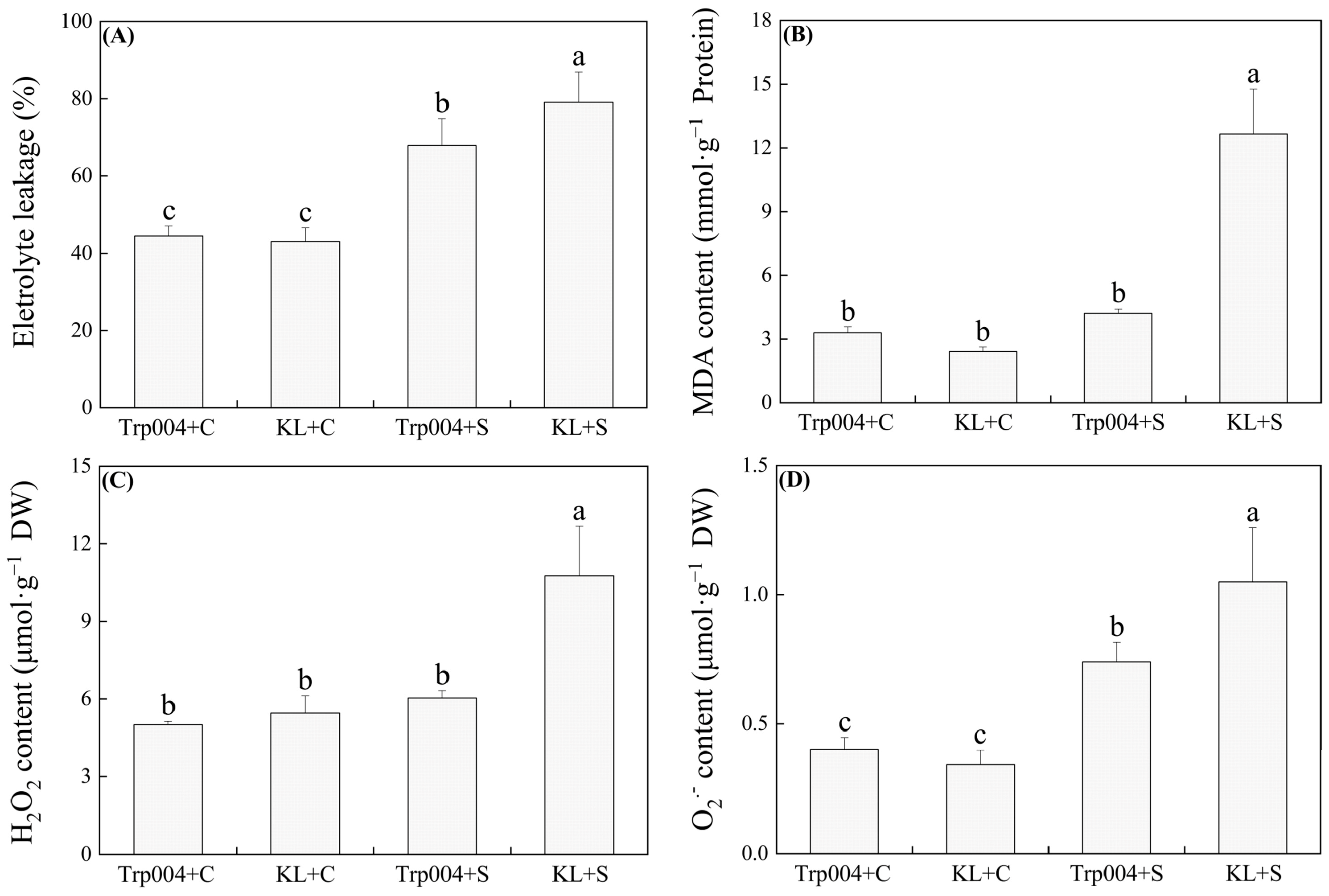 Plants 14 00145 g002
