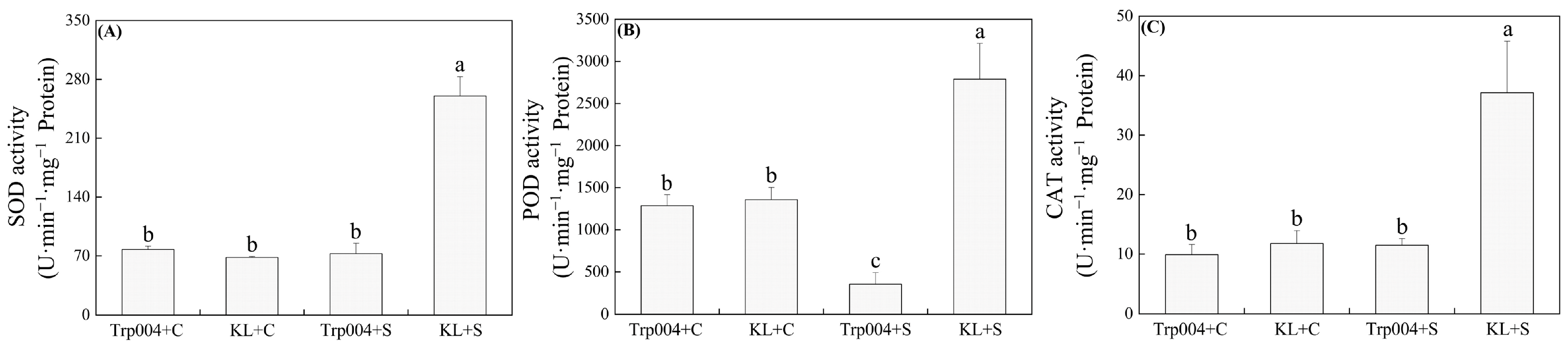 Plants 14 00145 g003