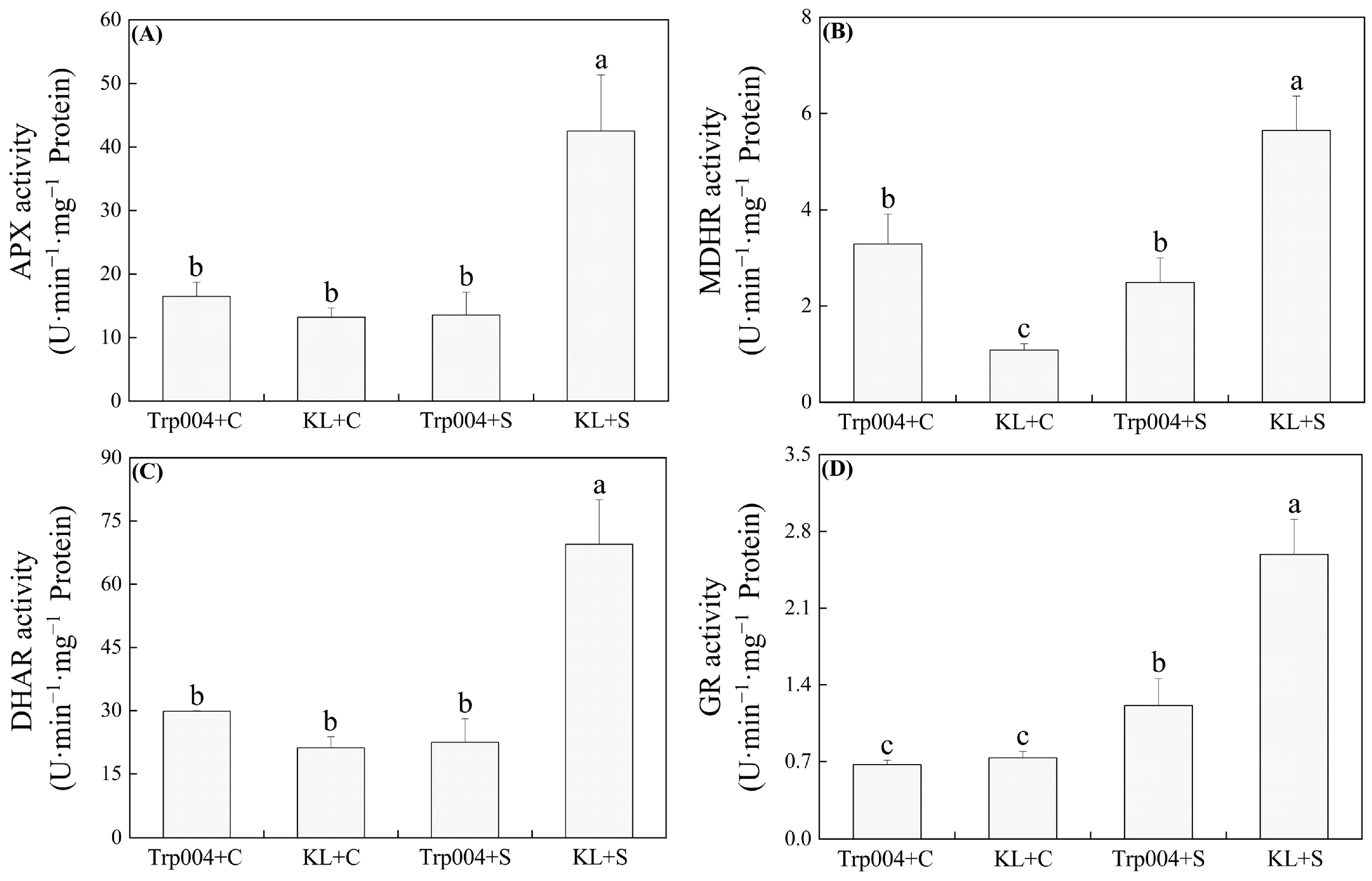 Plants 14 00145 g004