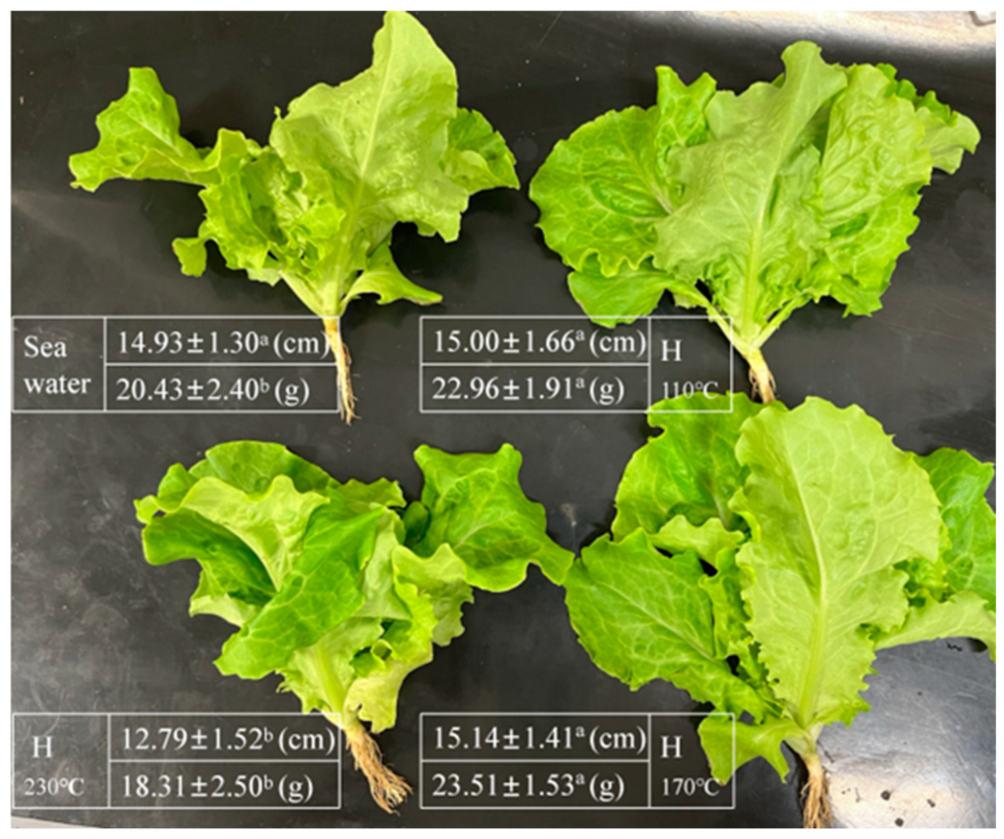 Plants 14 00149 g004