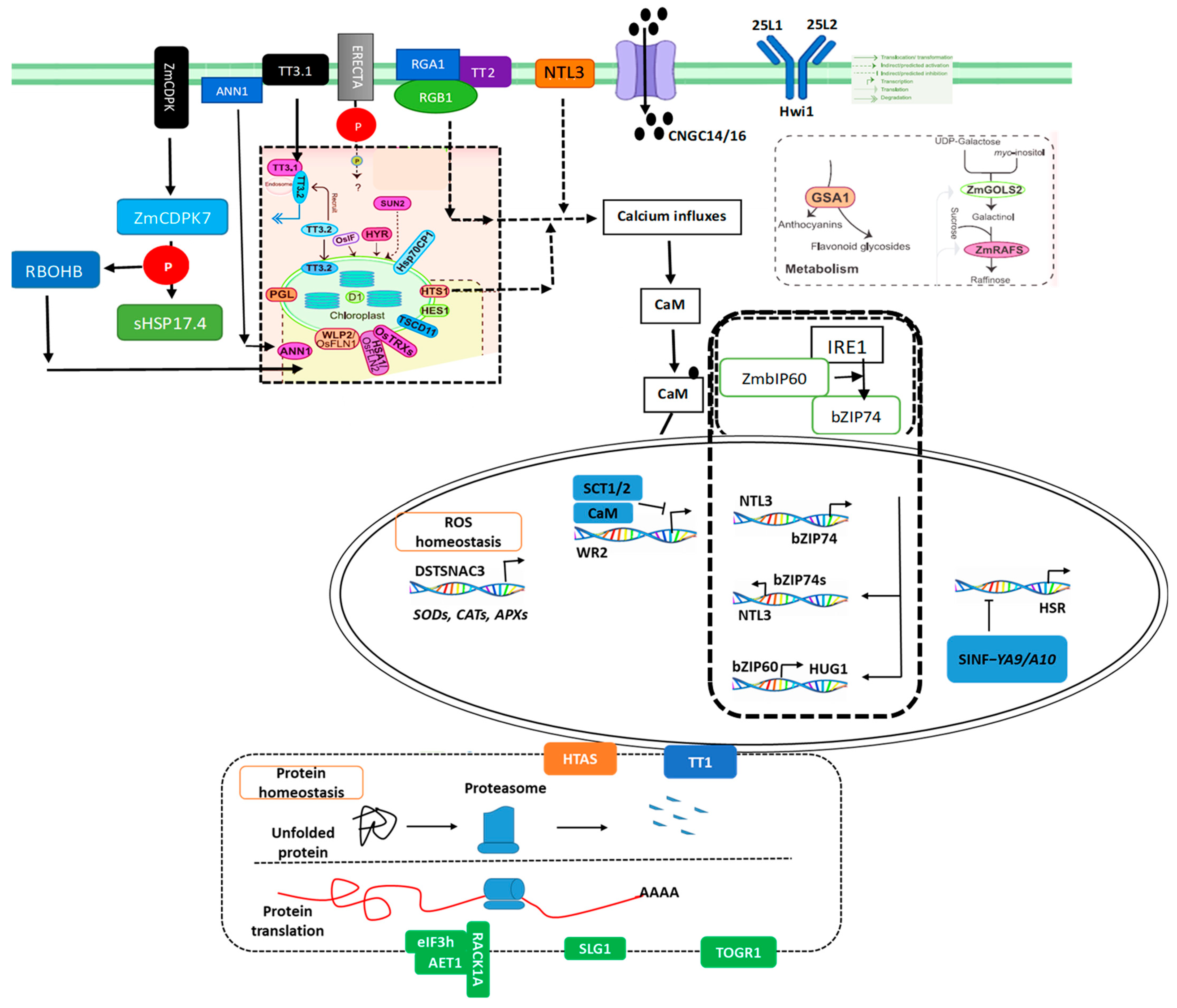 Plants 14 00152 g006