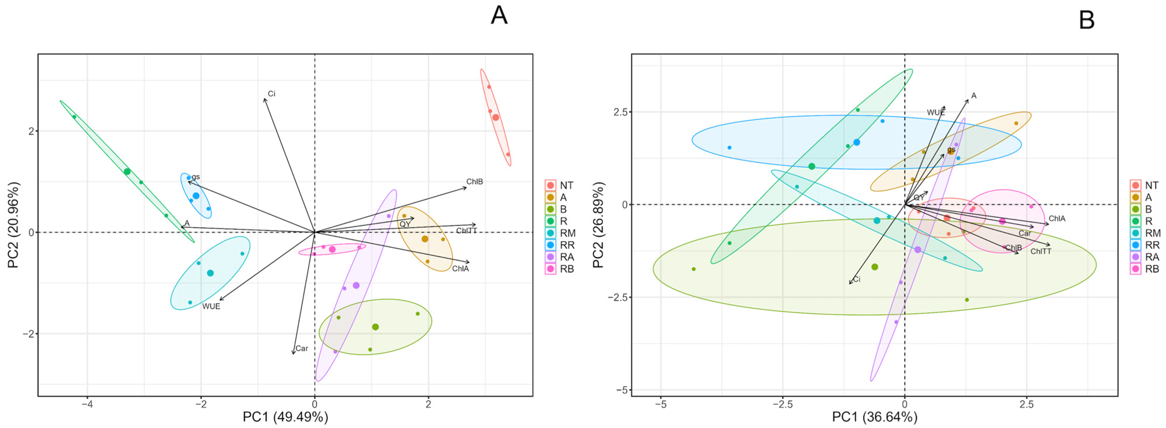 Plants 14 00156 g006 Plants 14 00156 g006