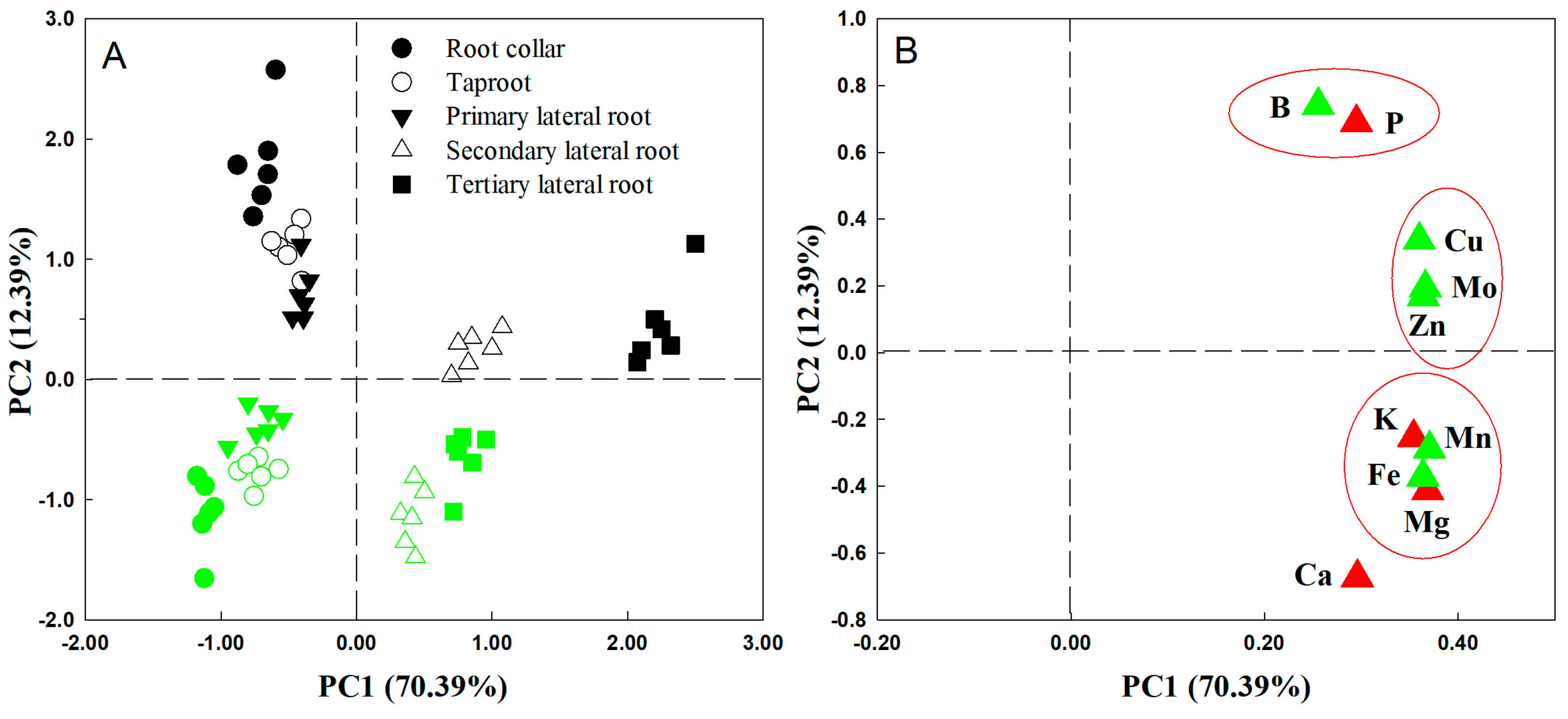 Plants 14 00158 g002 Plants 14 00158 g002