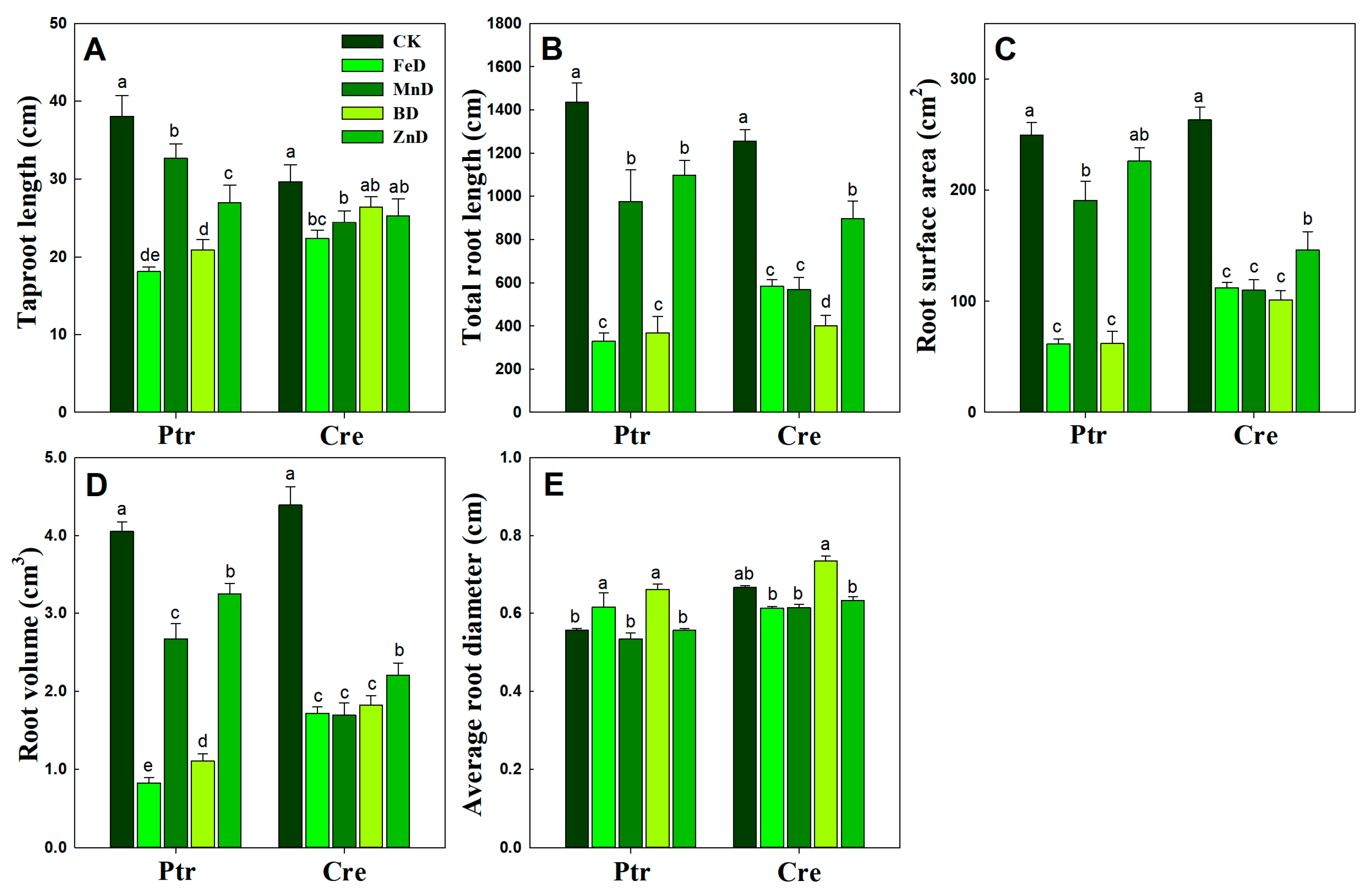 Plants 14 00158 g004 Plants 14 00158 g004