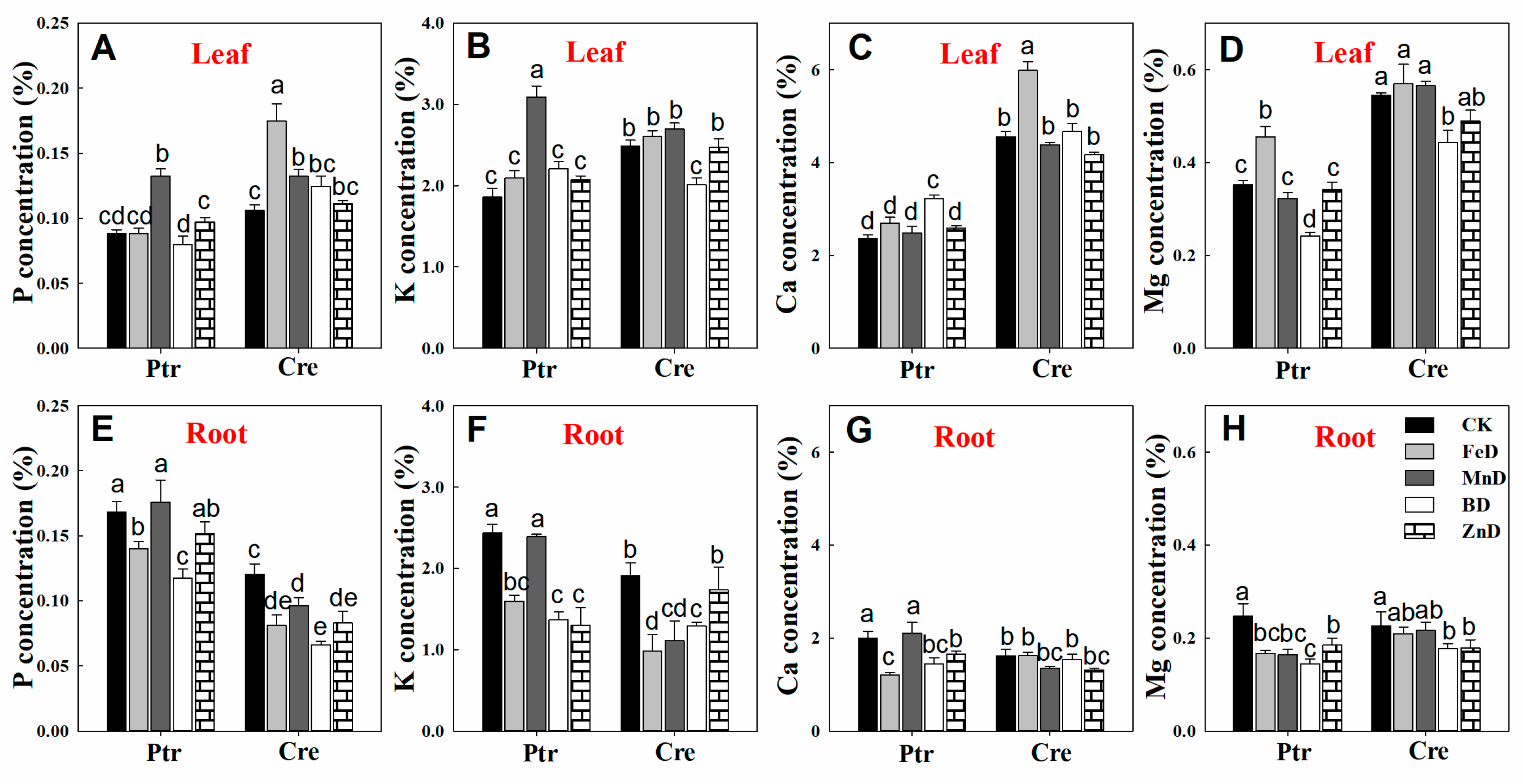 Plants 14 00158 g007 Plants 14 00158 g007