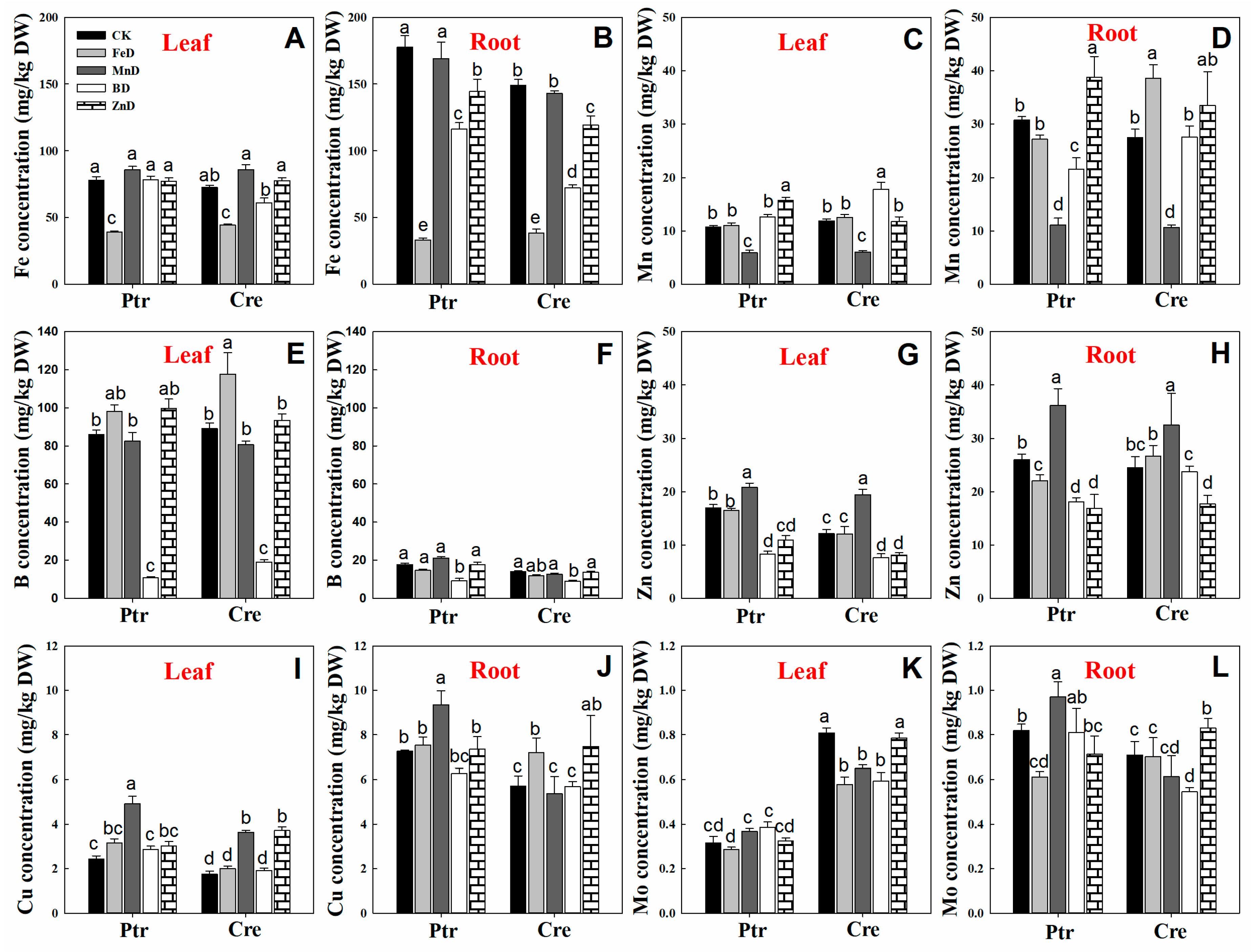 Plants 14 00158 g008 Plants 14 00158 g008