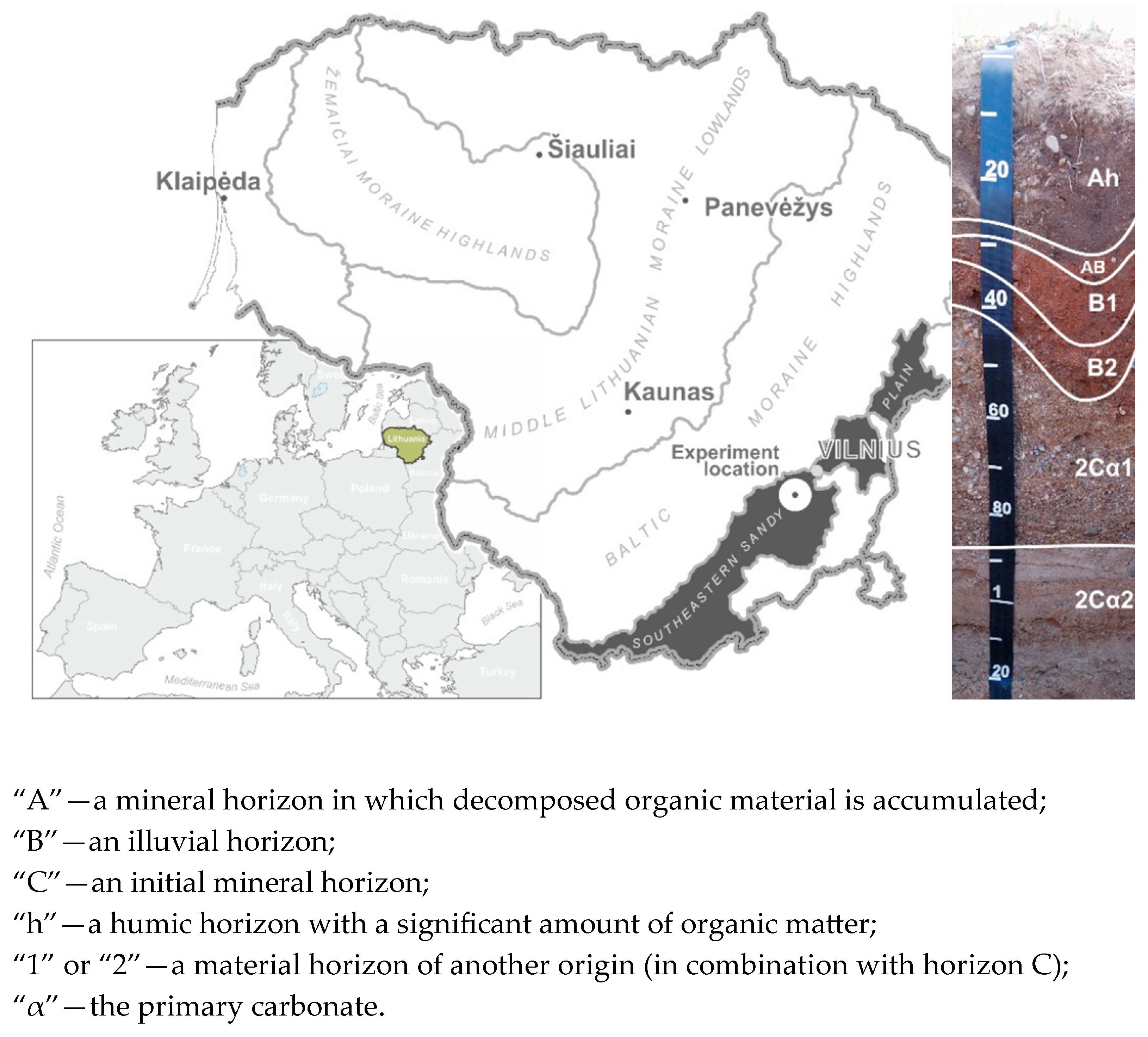 Plants 14 00166 g001