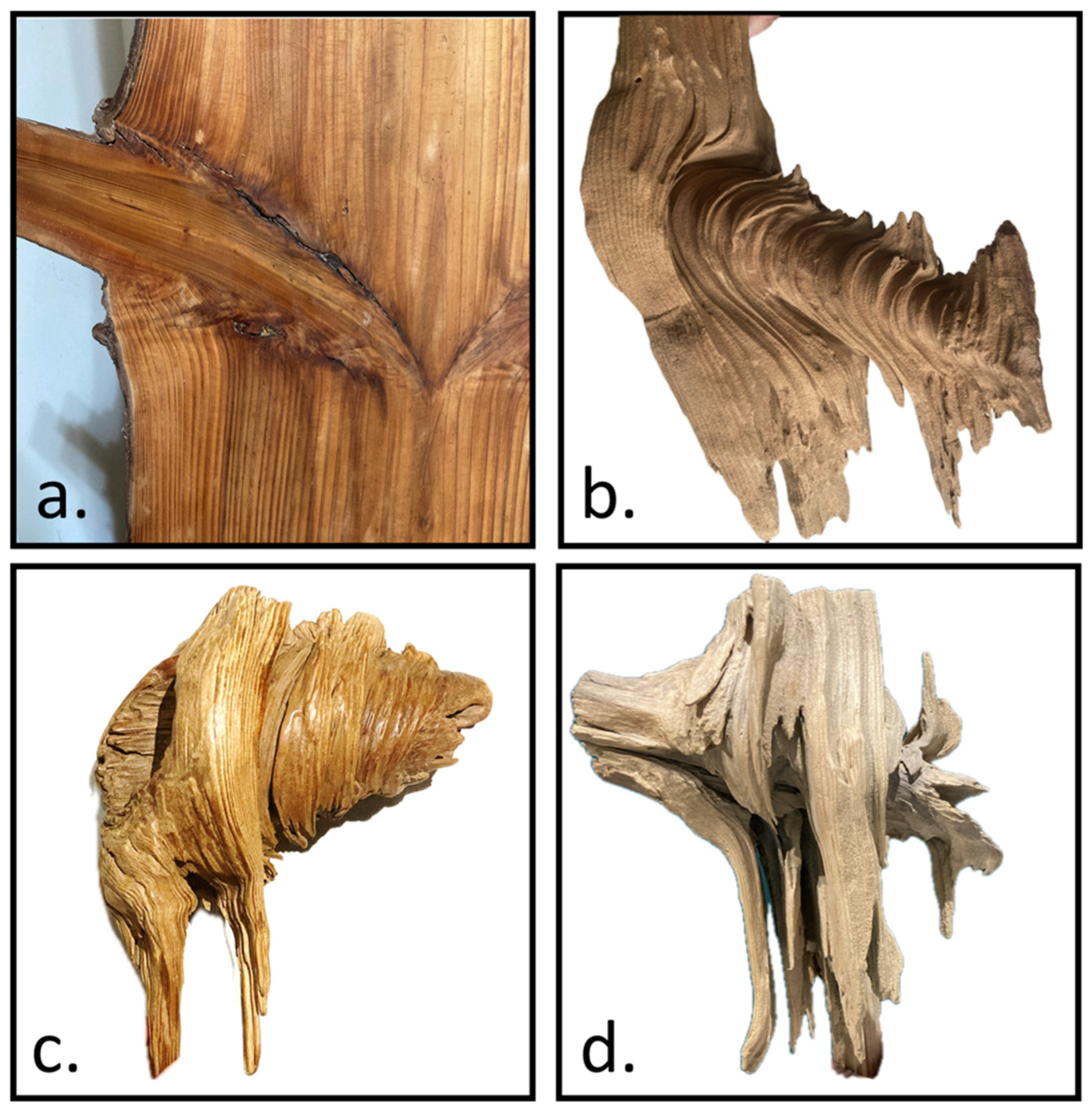 Plants 14 00167 g010