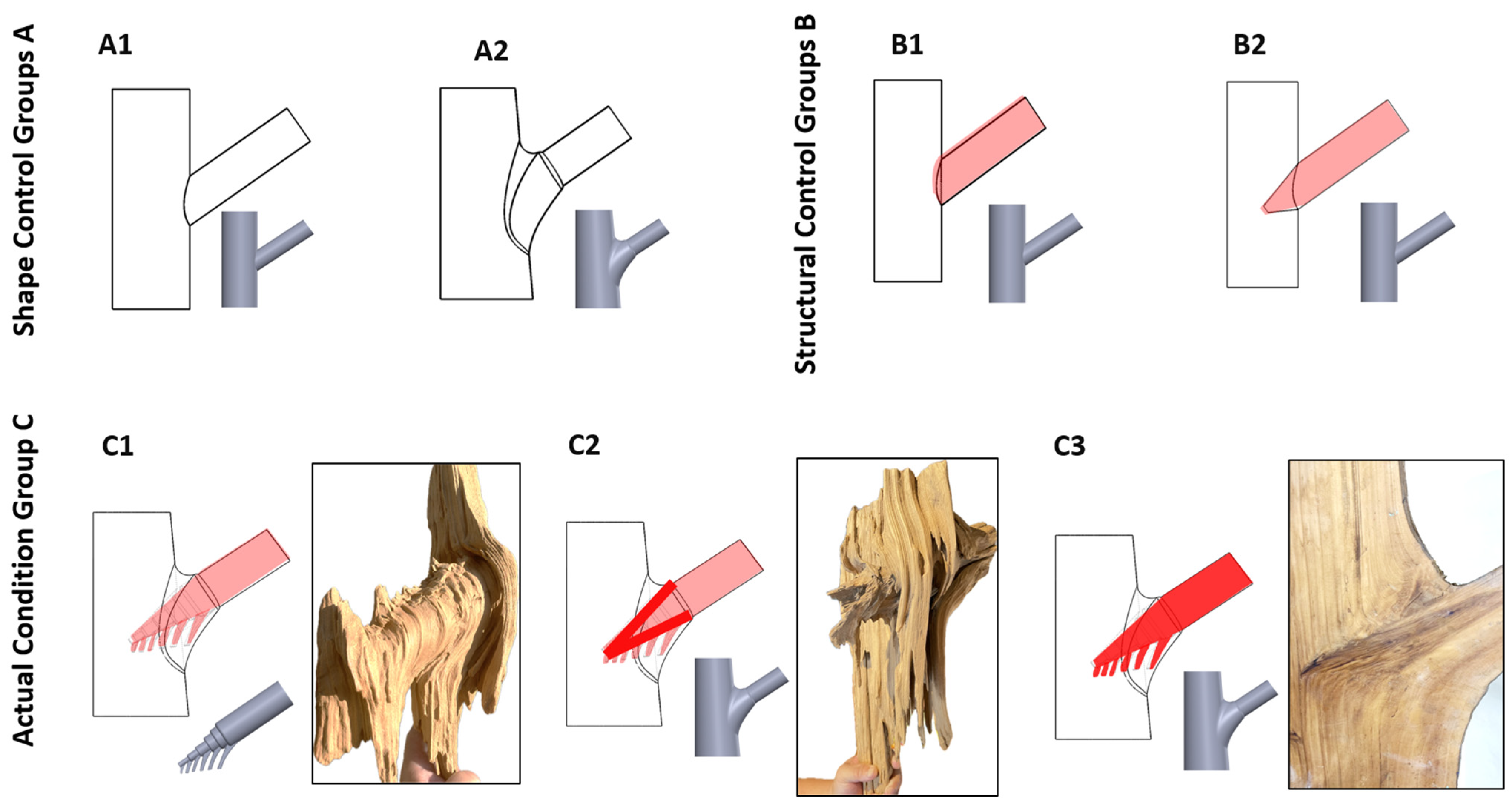 Plants 14 00167 g011