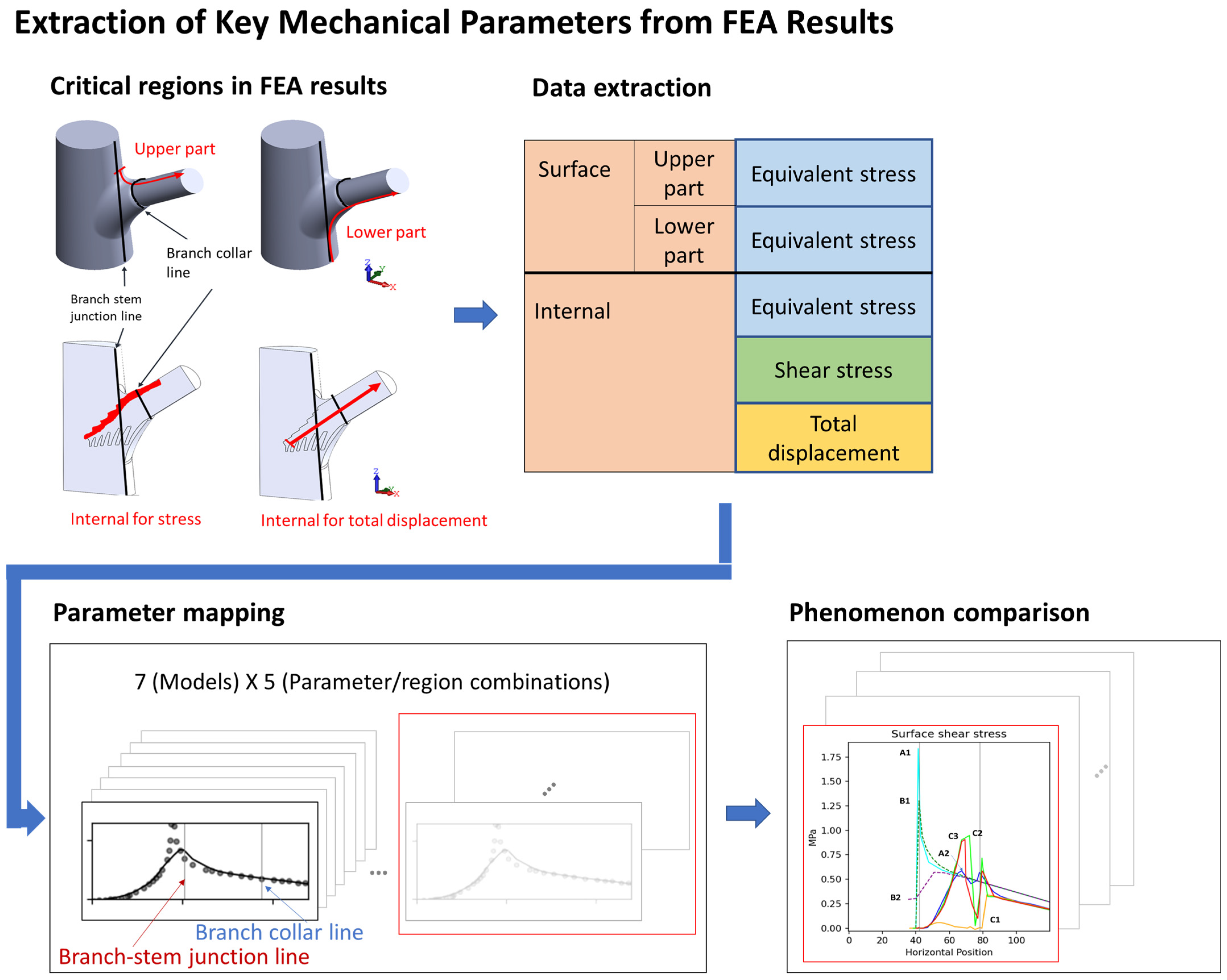 Plants 14 00167 g012