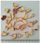 Plants 14 00168 i001