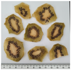 Plants 14 00168 i004