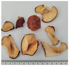 Plants 14 00168 i005