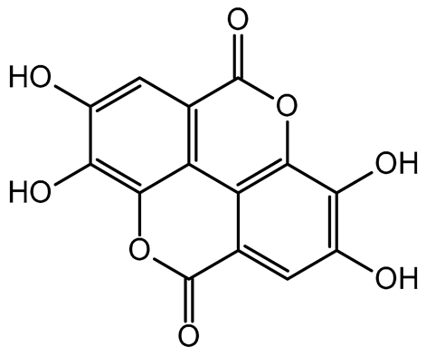 Plants 14 00168 i011