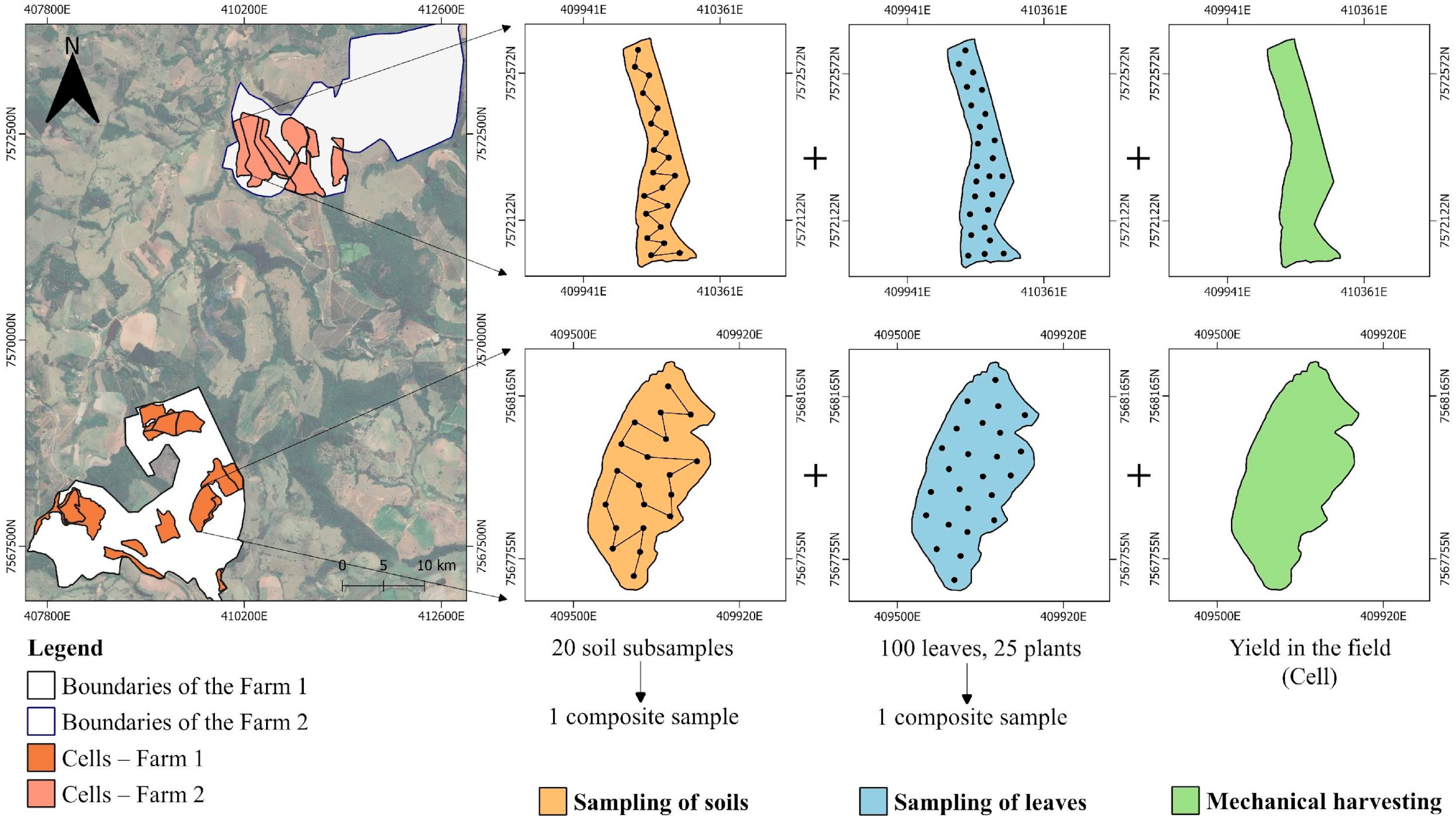 Plants 14 00169 g011